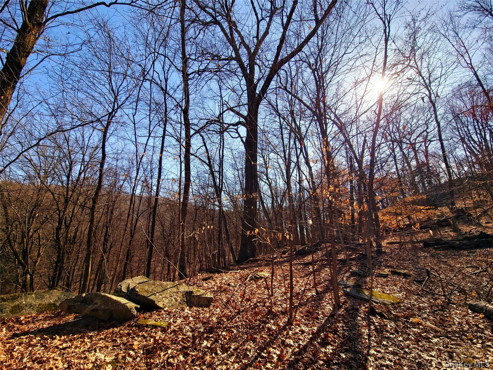 #13 photo, White Street, Highland , NY 12528