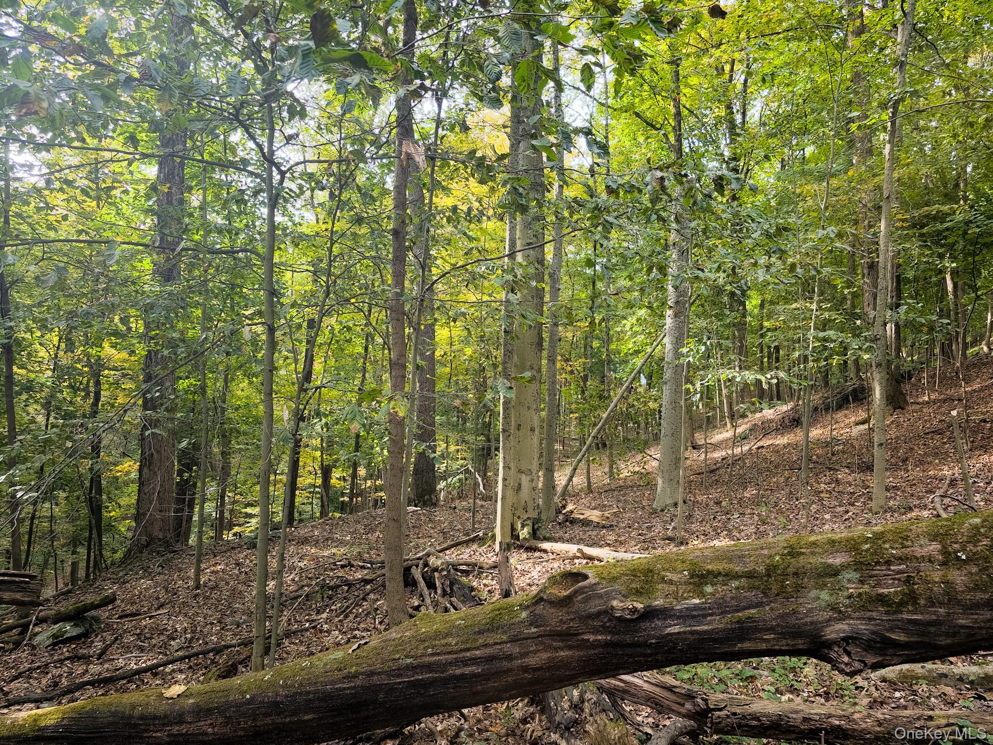 #2 photo, White Street, Highland , NY 12528