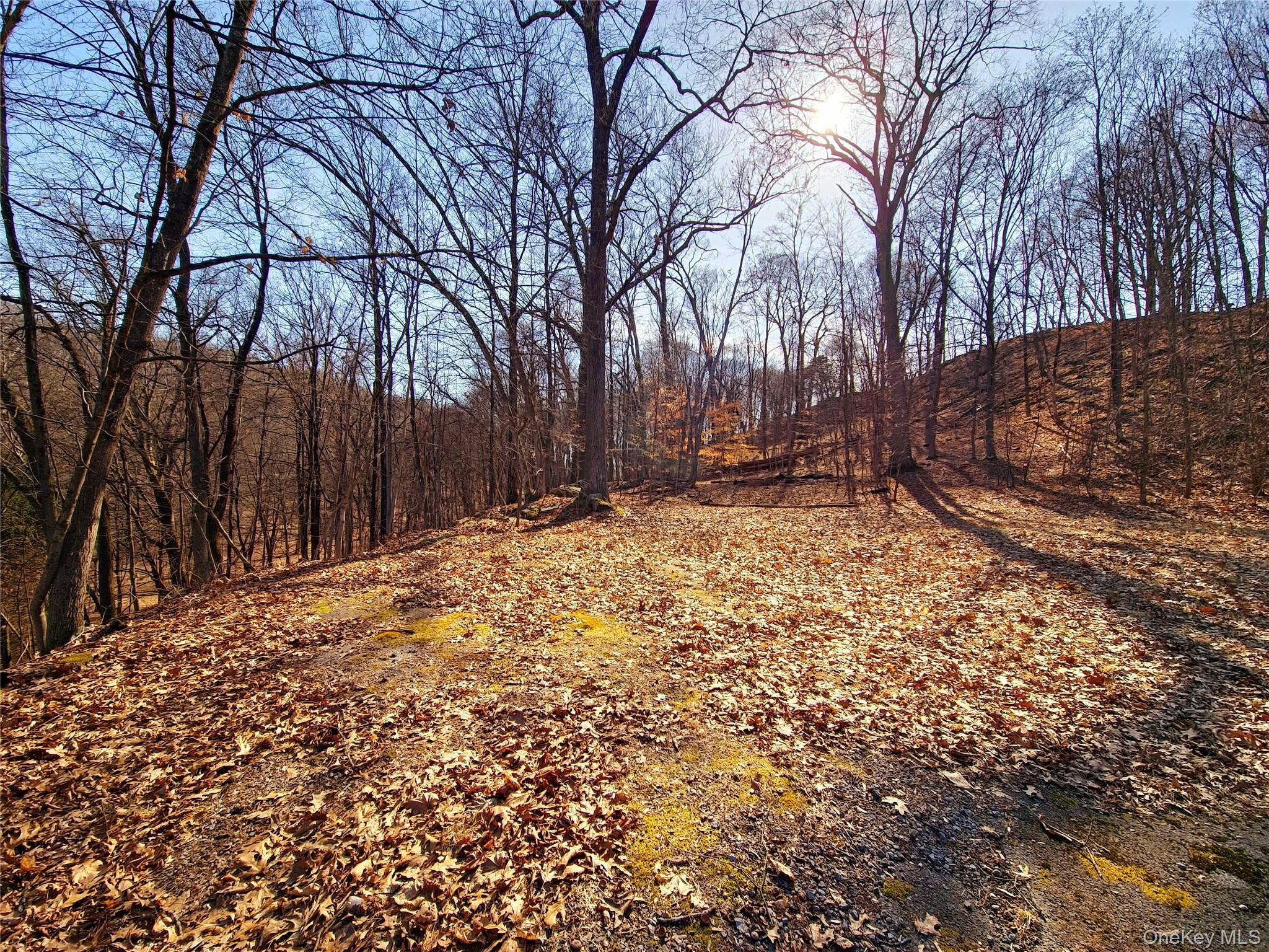 #3 photo, White Street, Highland , NY 12528