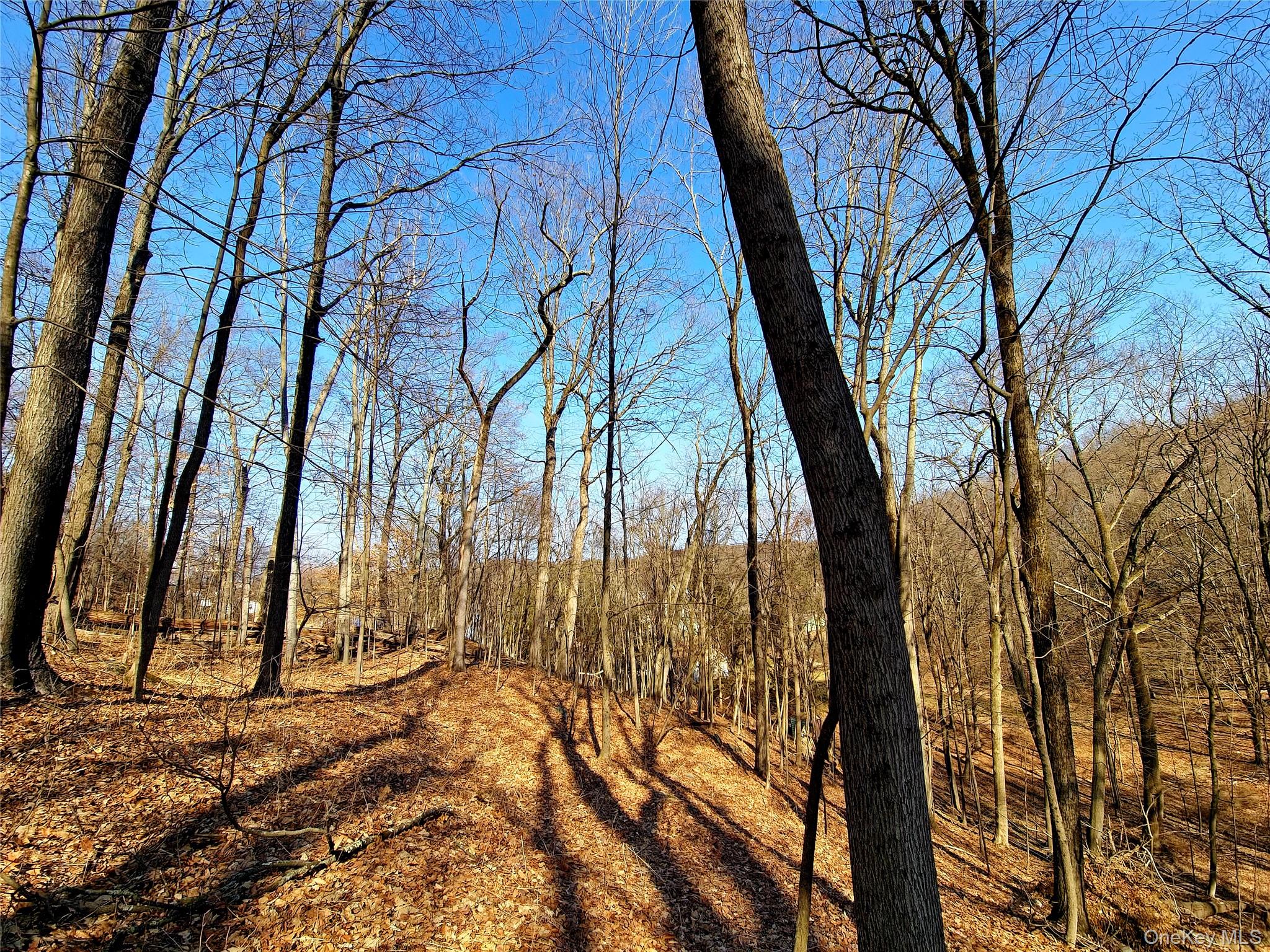 #4 photo, White Street, Highland , NY 12528