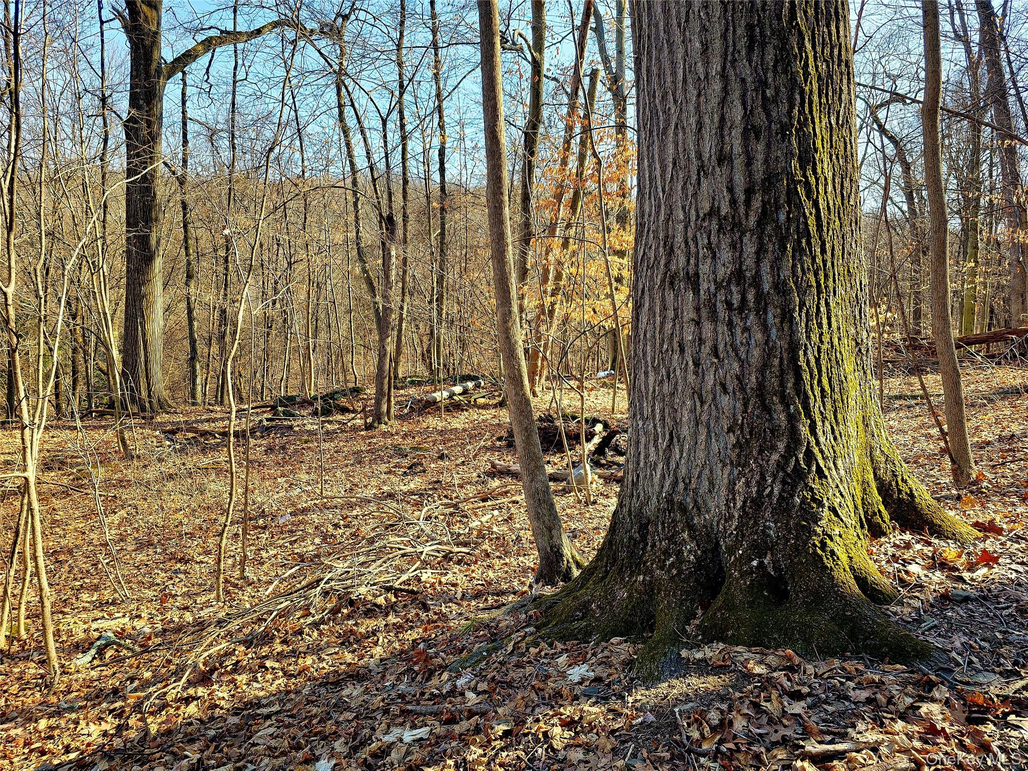 #5 photo, White Street, Highland , NY 12528