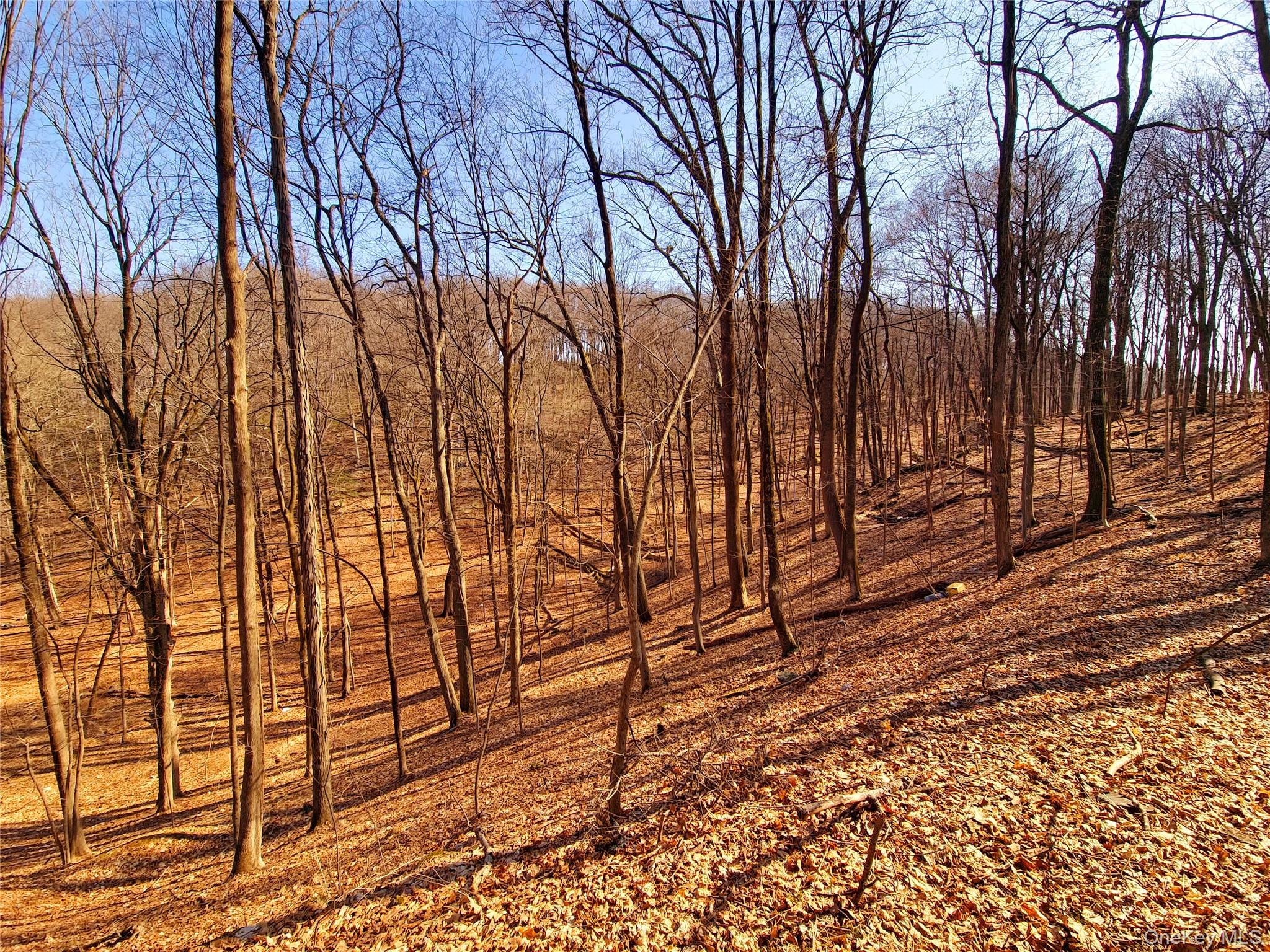 #6 photo, White Street, Highland , NY 12528