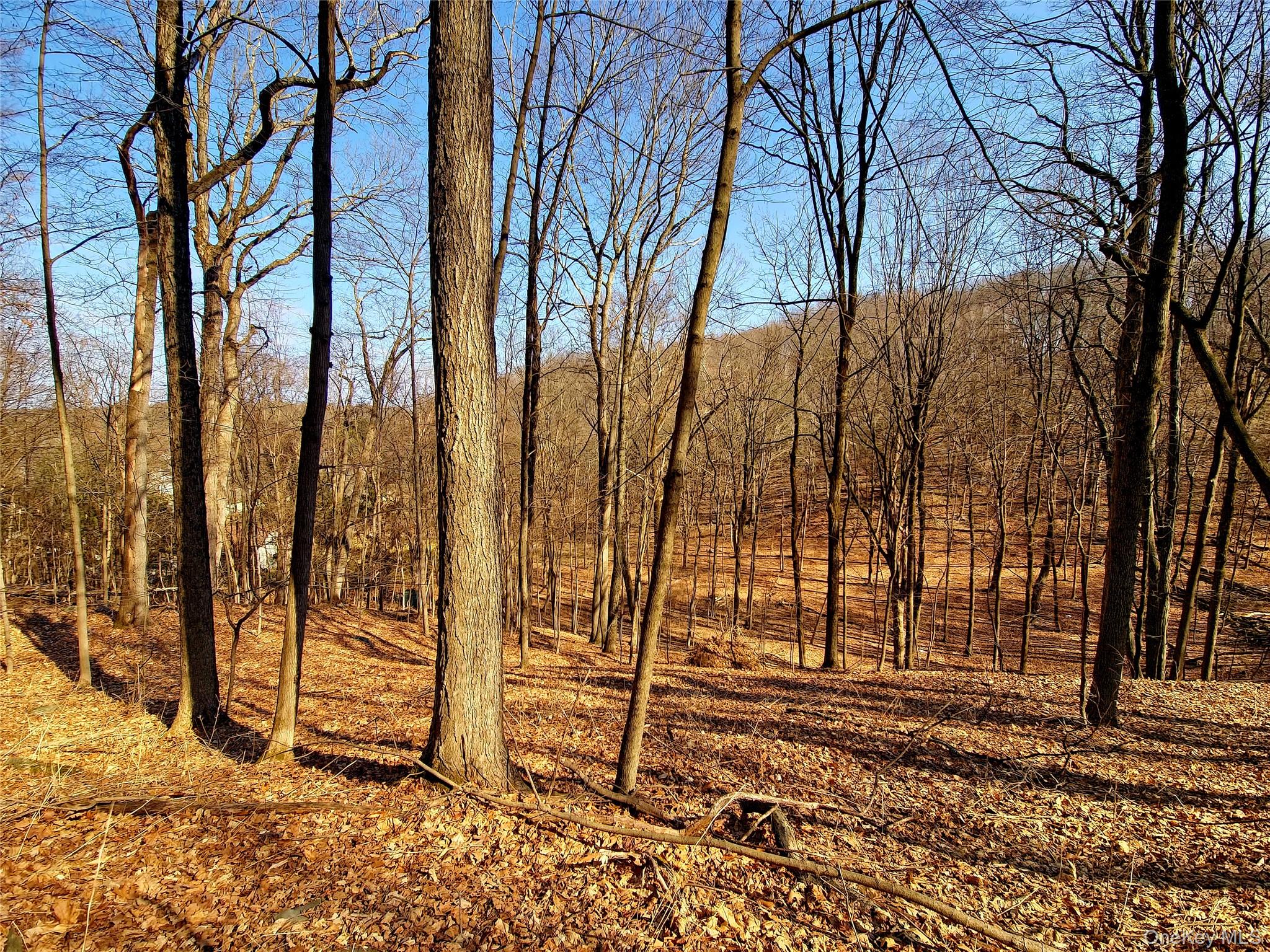 #7 photo, White Street, Highland , NY 12528