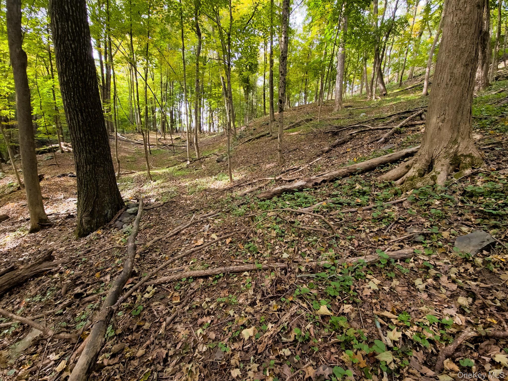 #8 photo, White Street, Highland , NY 12528