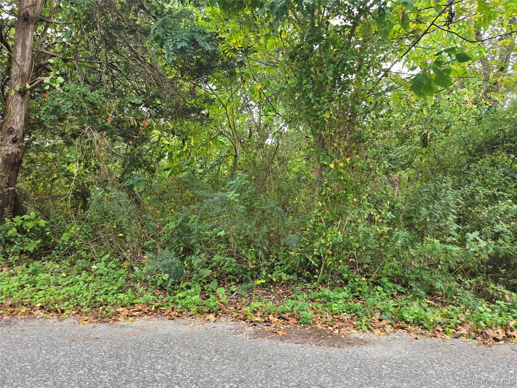 #1 photo, 78 Lakeview Drive, Mastic Beach , NY 11951