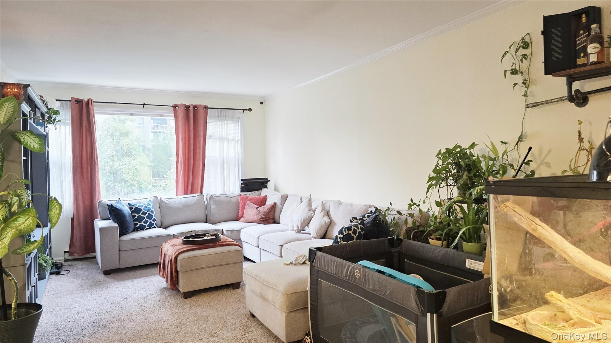 #6 photo, 209-08 23rd Avenue, Bayside , NY 11360