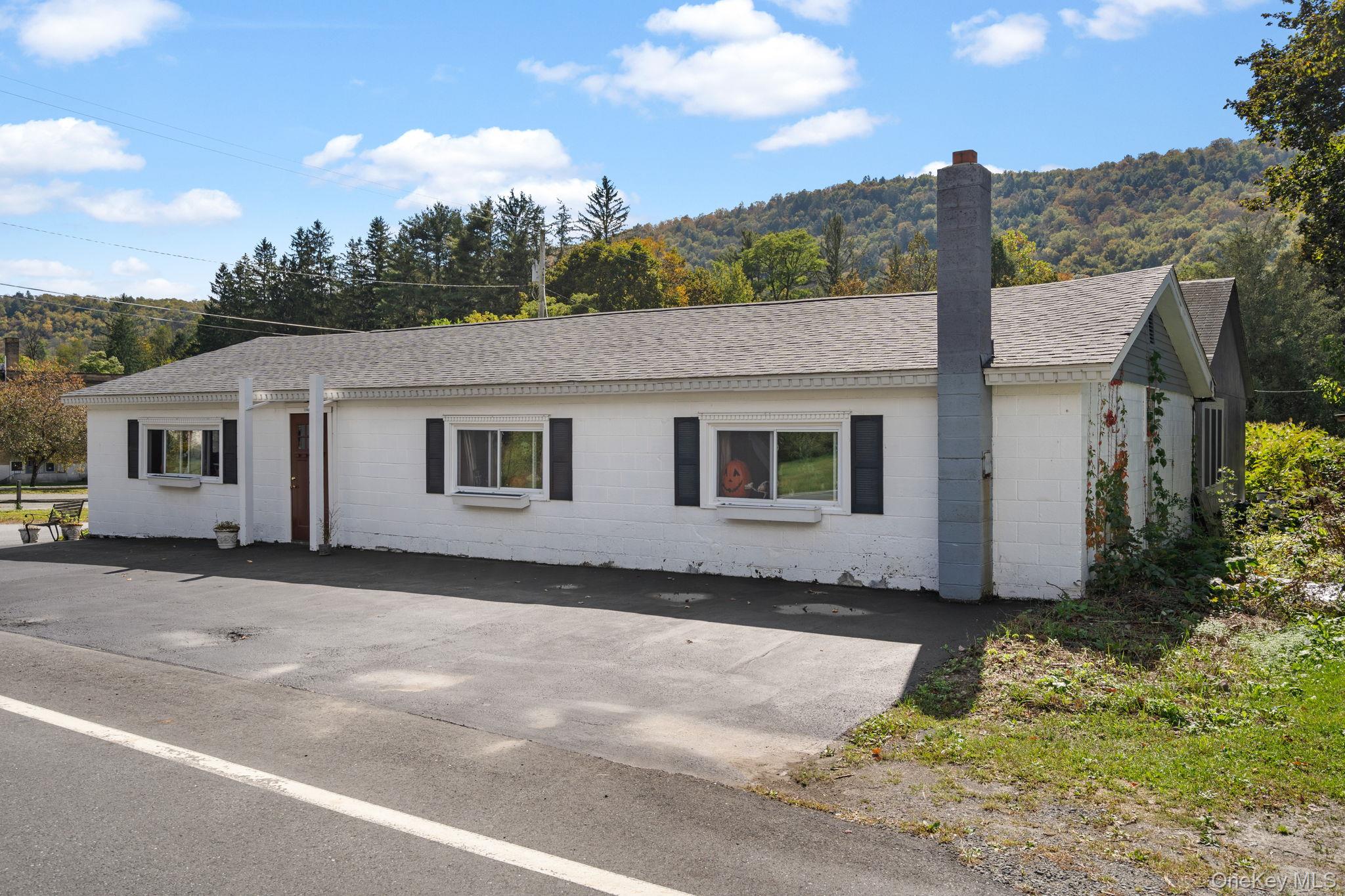 #1 photo, 11625 State Route 97, Long Eddy , NY 12760