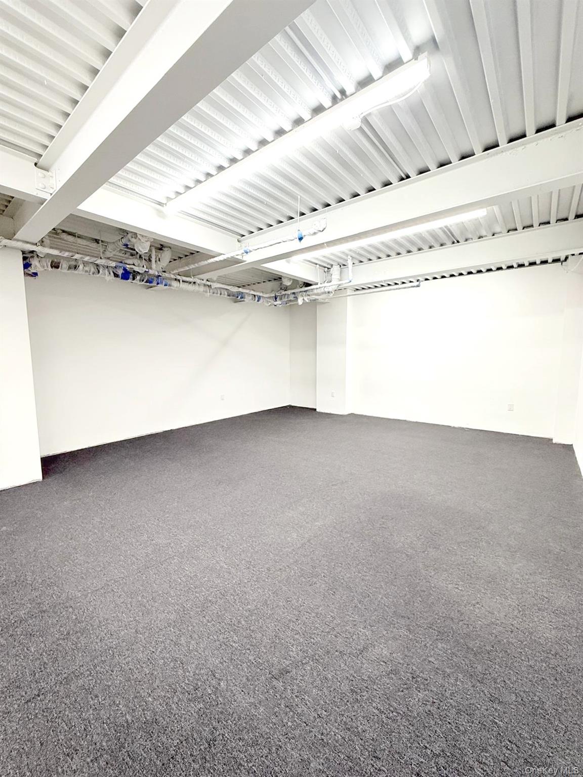 #19 photo, 91-02 101 Ave, Ozone Park , NY 11416