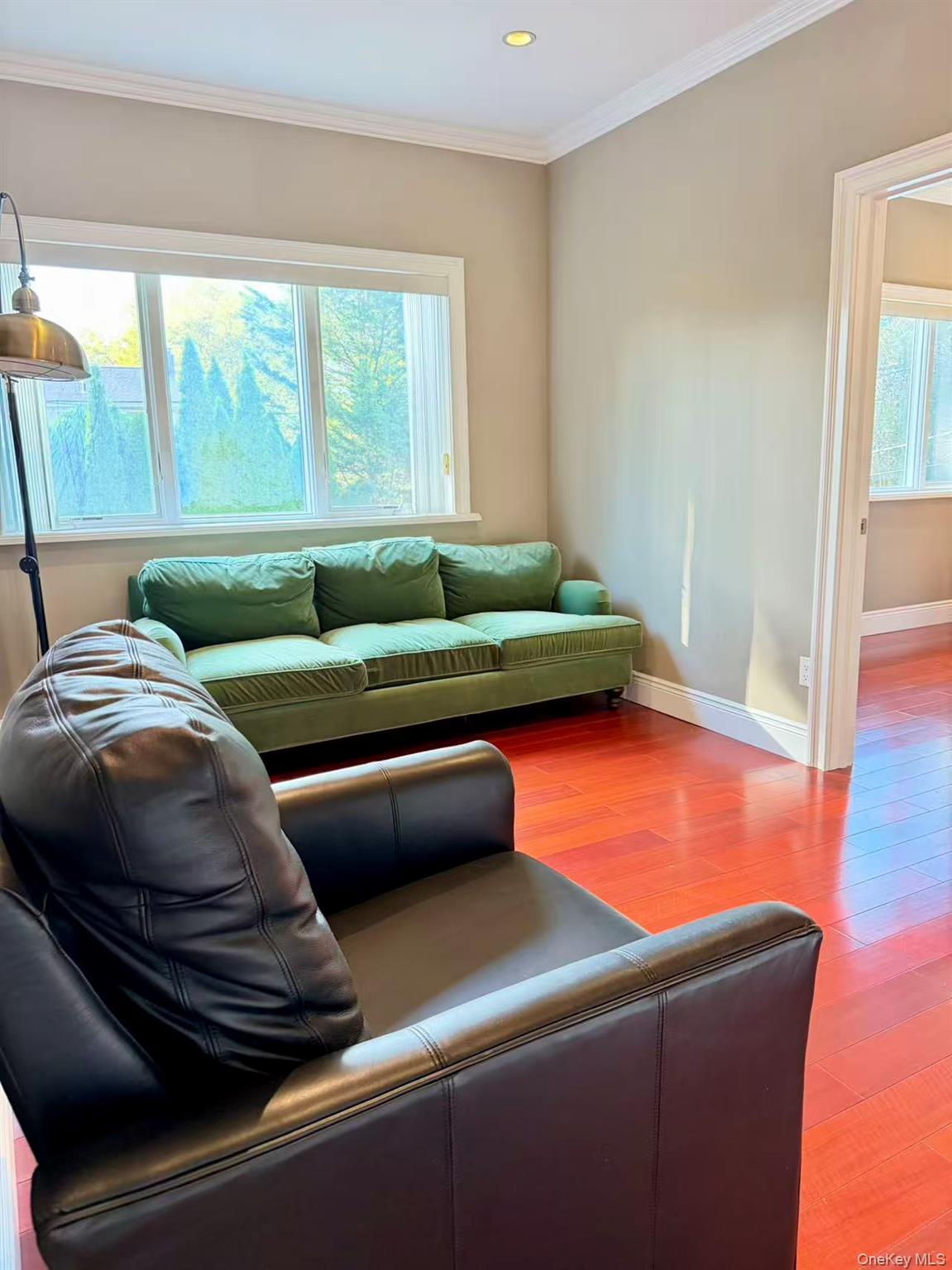 #16 photo, 17 Livingston Avenue, Jericho , NY 11753