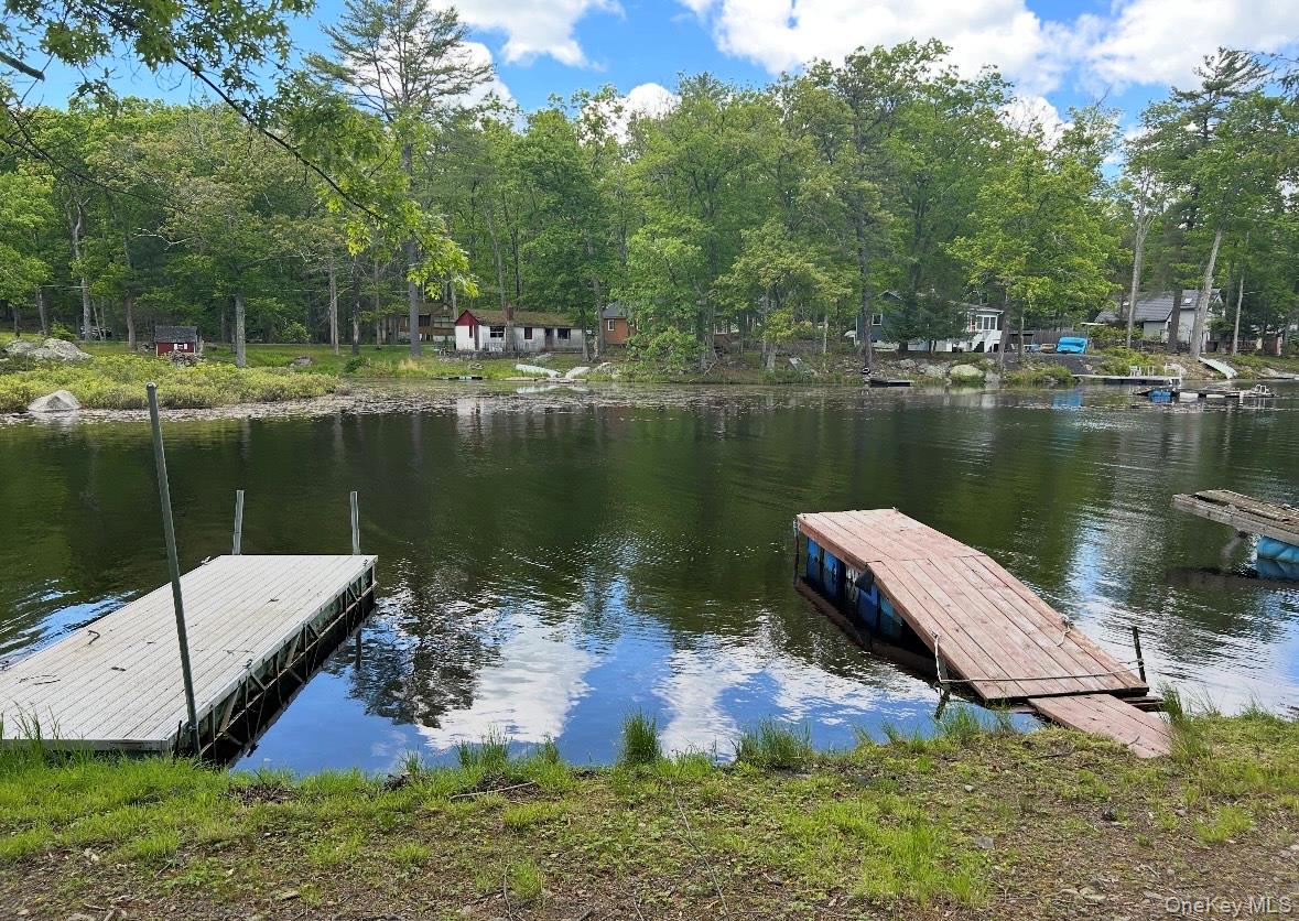 #1 photo, 177 Mohican Trail, Glen Spey , NY 12737