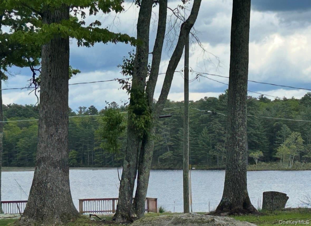 #2 photo, 177 Mohican Trail, Glen Spey , NY 12737