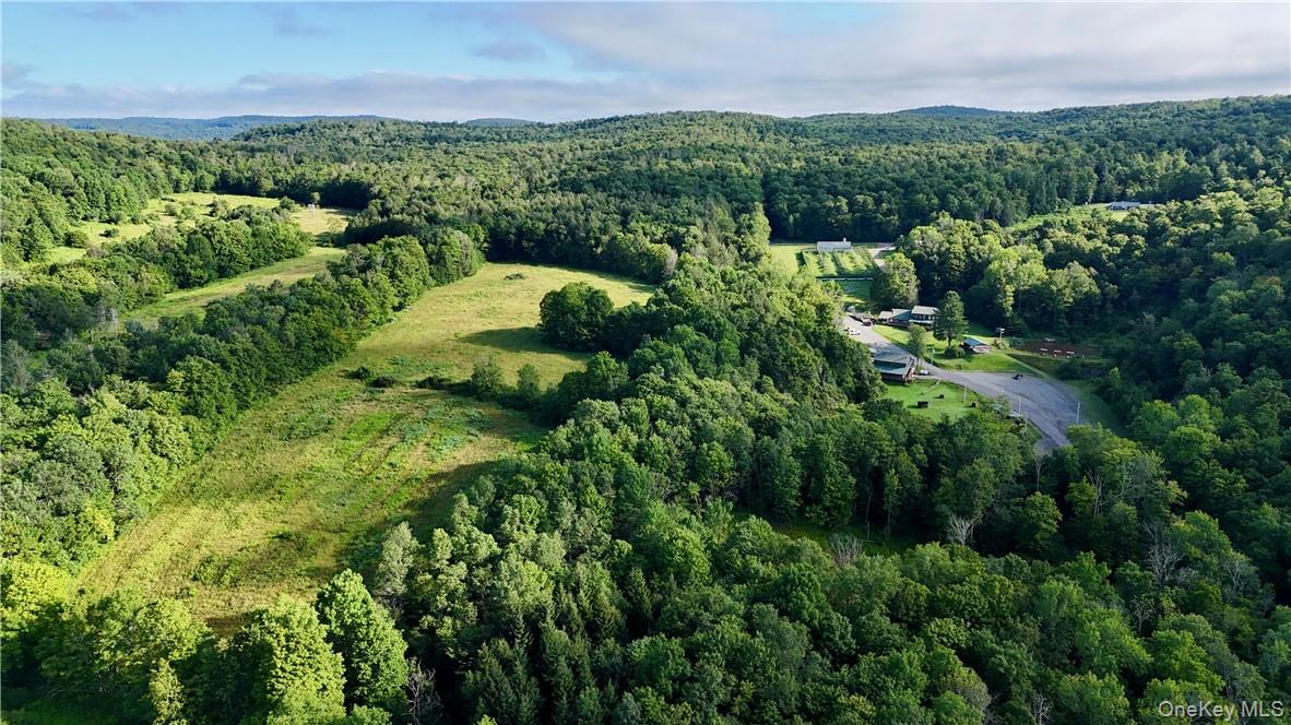 #6 photo, 374 Neer Road, Long Eddy , NY 12760