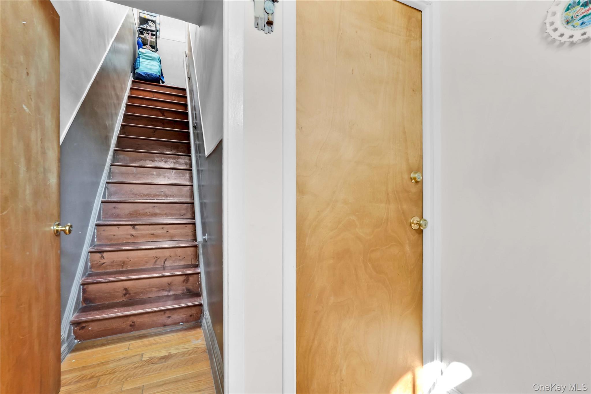 #12 photo, 20-56 46th Street, अस्टोरिया Astoria , NY 11105