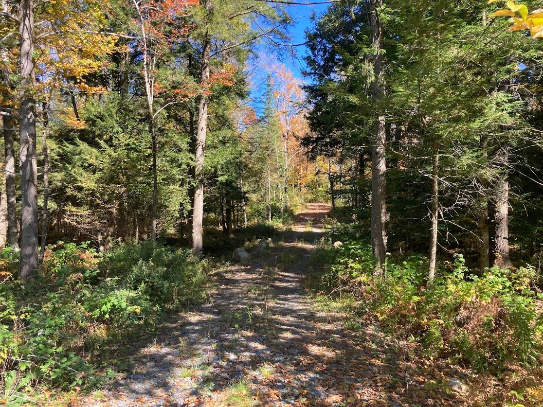 #20 photo, 0 Joslyn Rd, Remsen , NY 13438