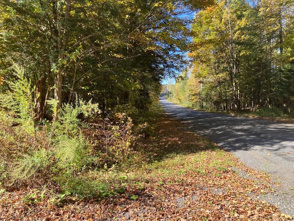 #22 photo, 0 Joslyn Rd, Remsen , NY 13438