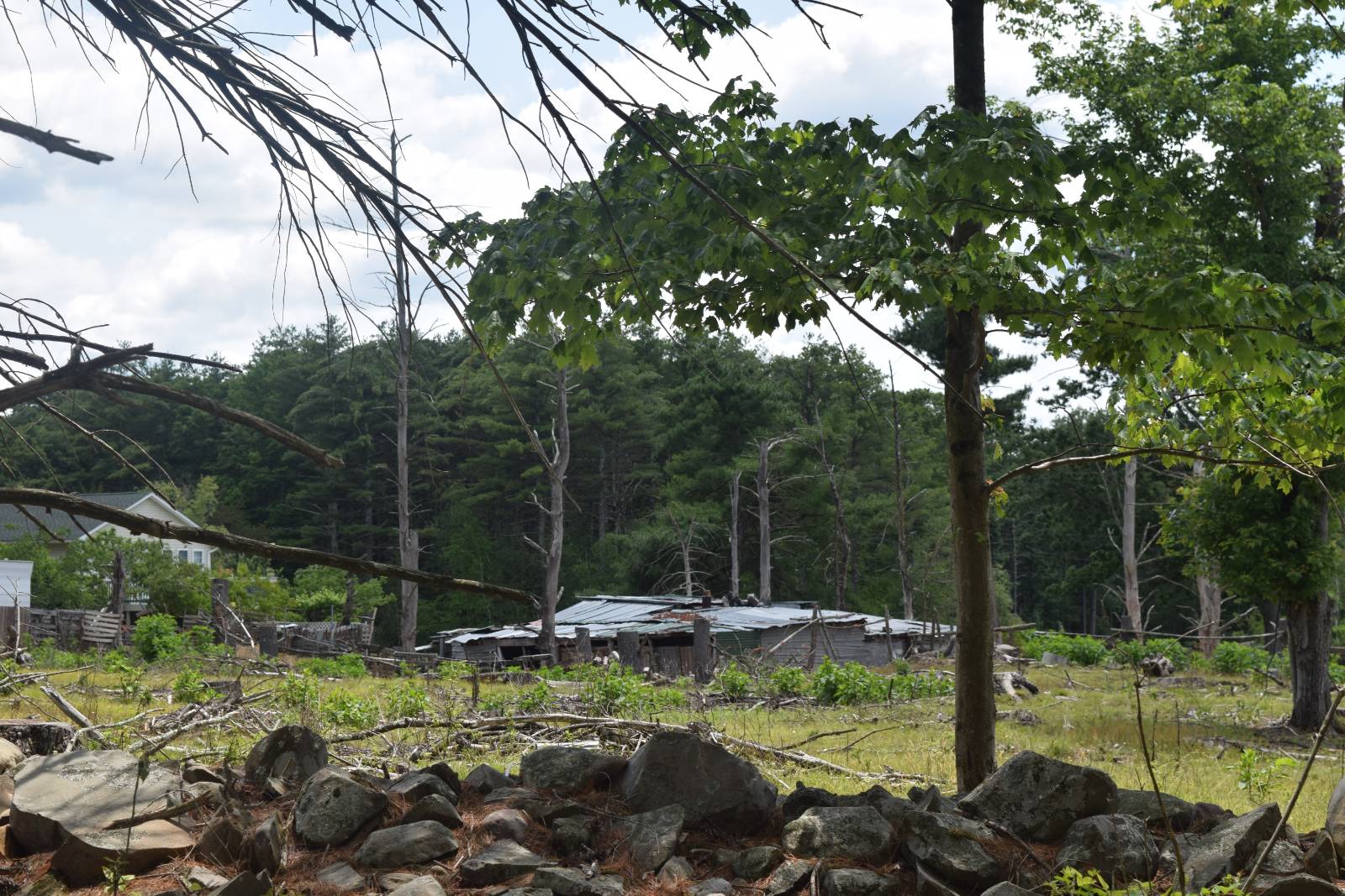 #11 photo, TBD Anthony Drive, Cairo , NY 12058