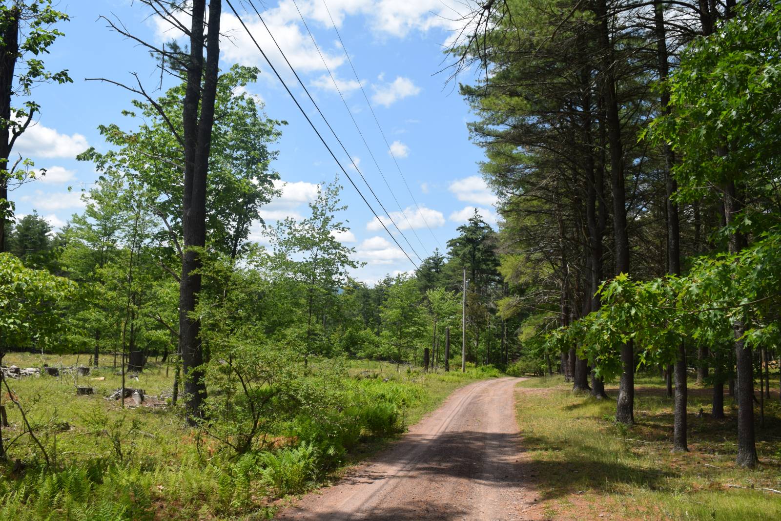 #12 photo, TBD Anthony Drive, Cairo , NY 12058