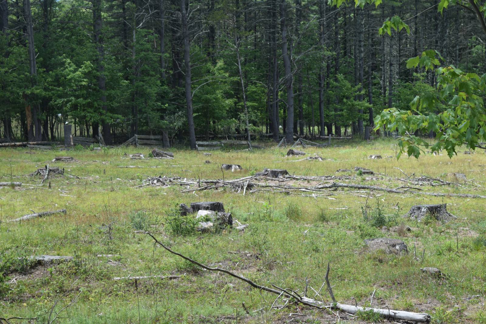 #2 photo, TBD Anthony Drive, Cairo , NY 12058