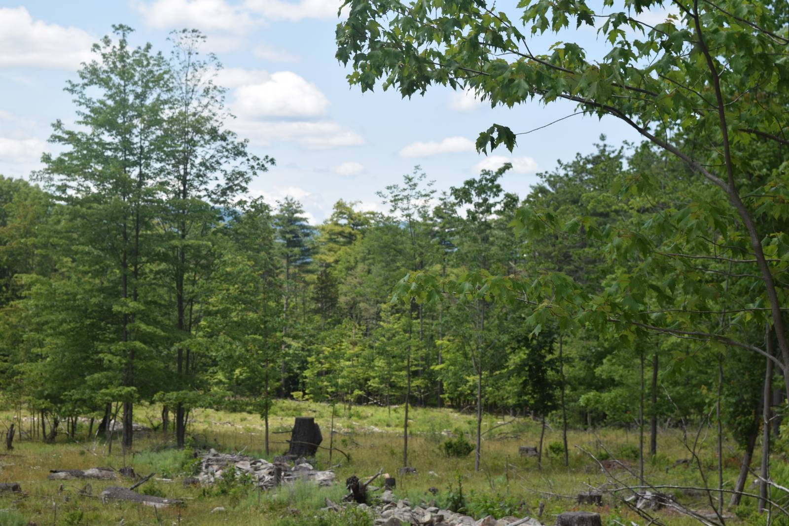 #3 photo, TBD Anthony Drive, Cairo , NY 12058