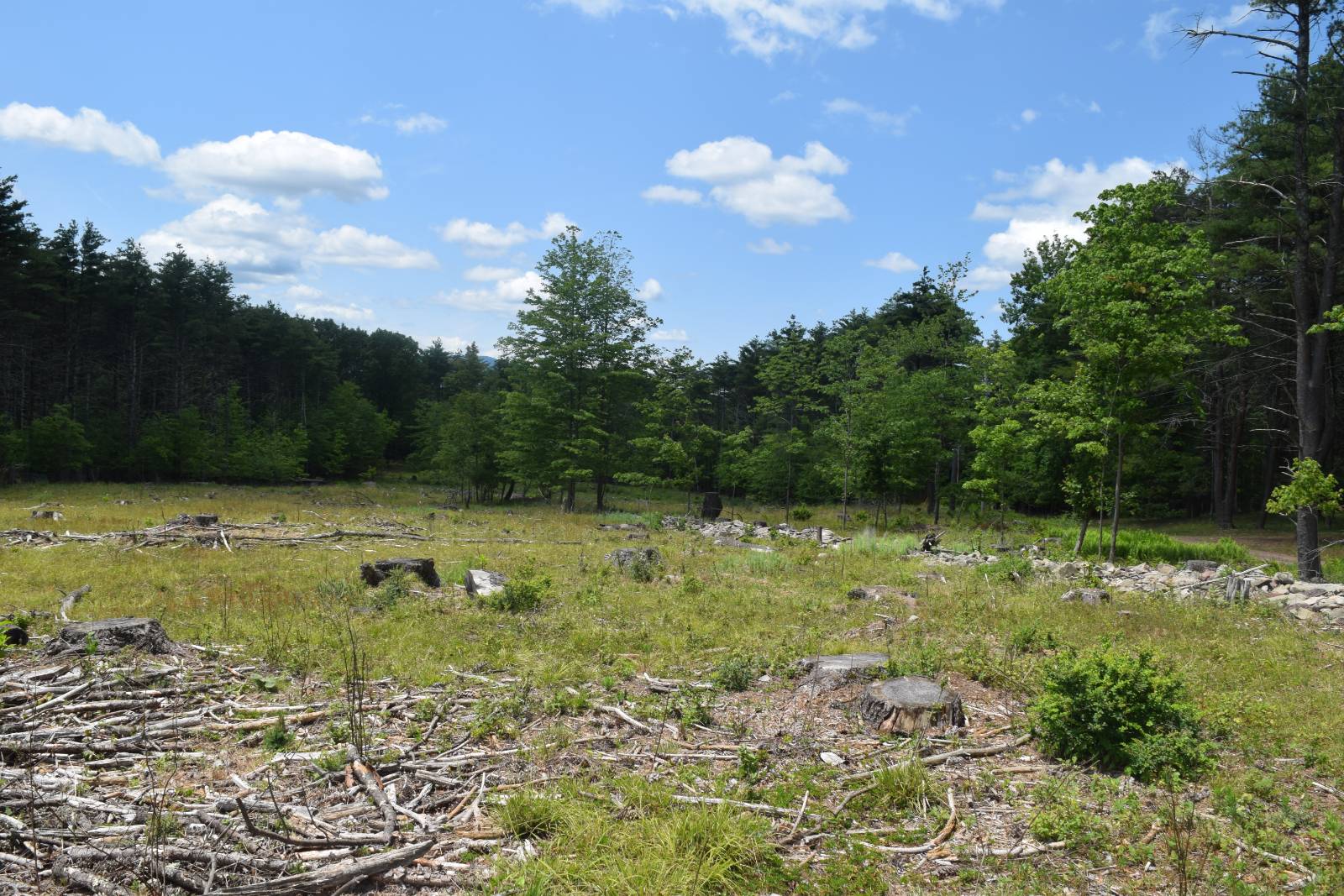 #5 photo, TBD Anthony Drive, Cairo , NY 12058