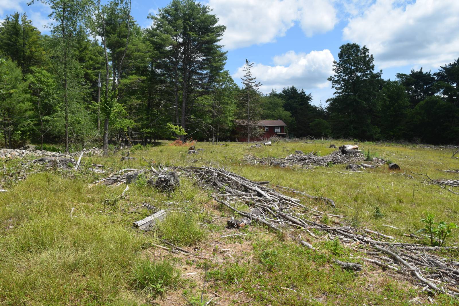 #6 photo, TBD Anthony Drive, Cairo , NY 12058