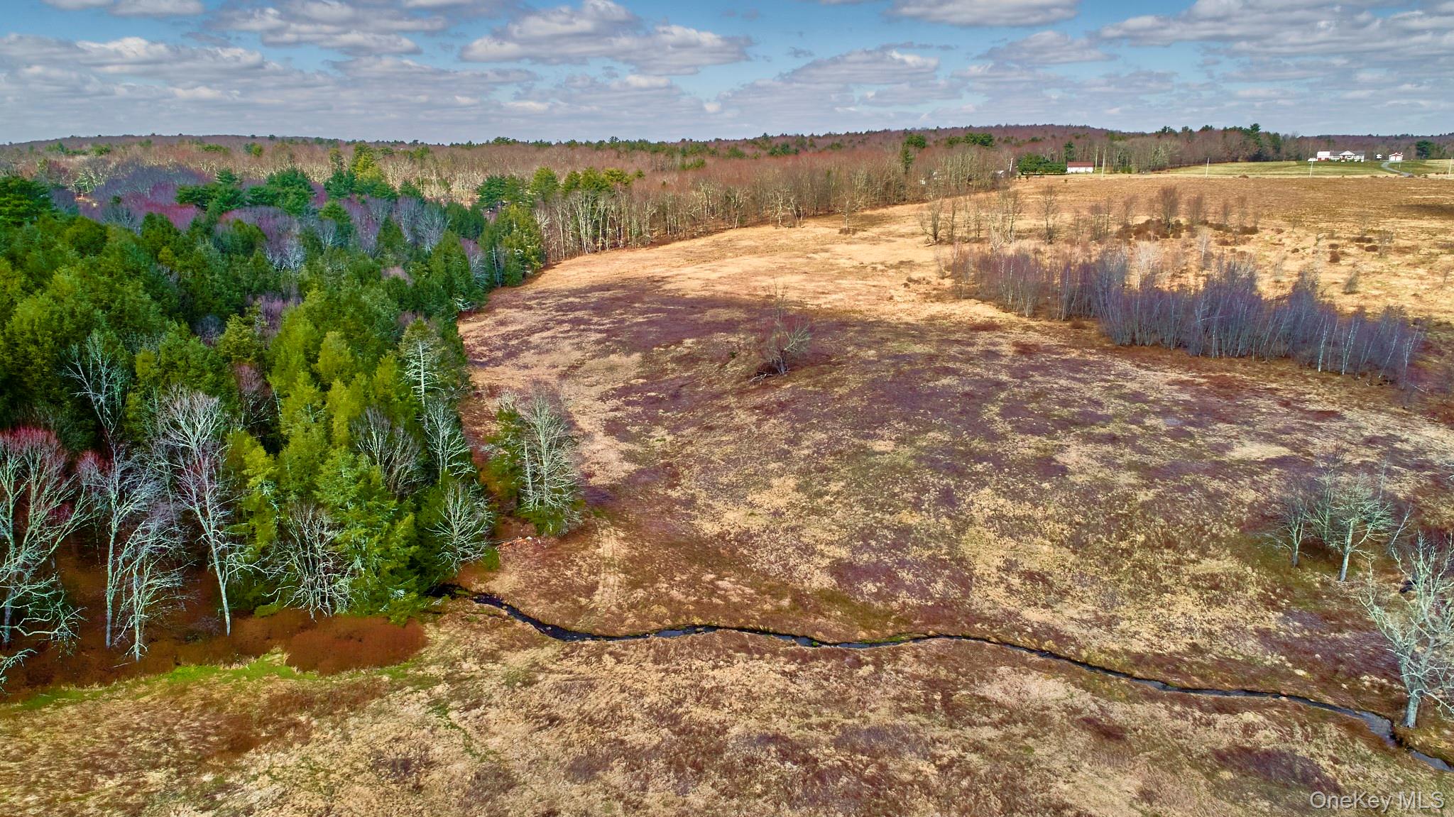 #10 photo, Lot 17.9 Shortcut Road, Cochecton , NY 12726