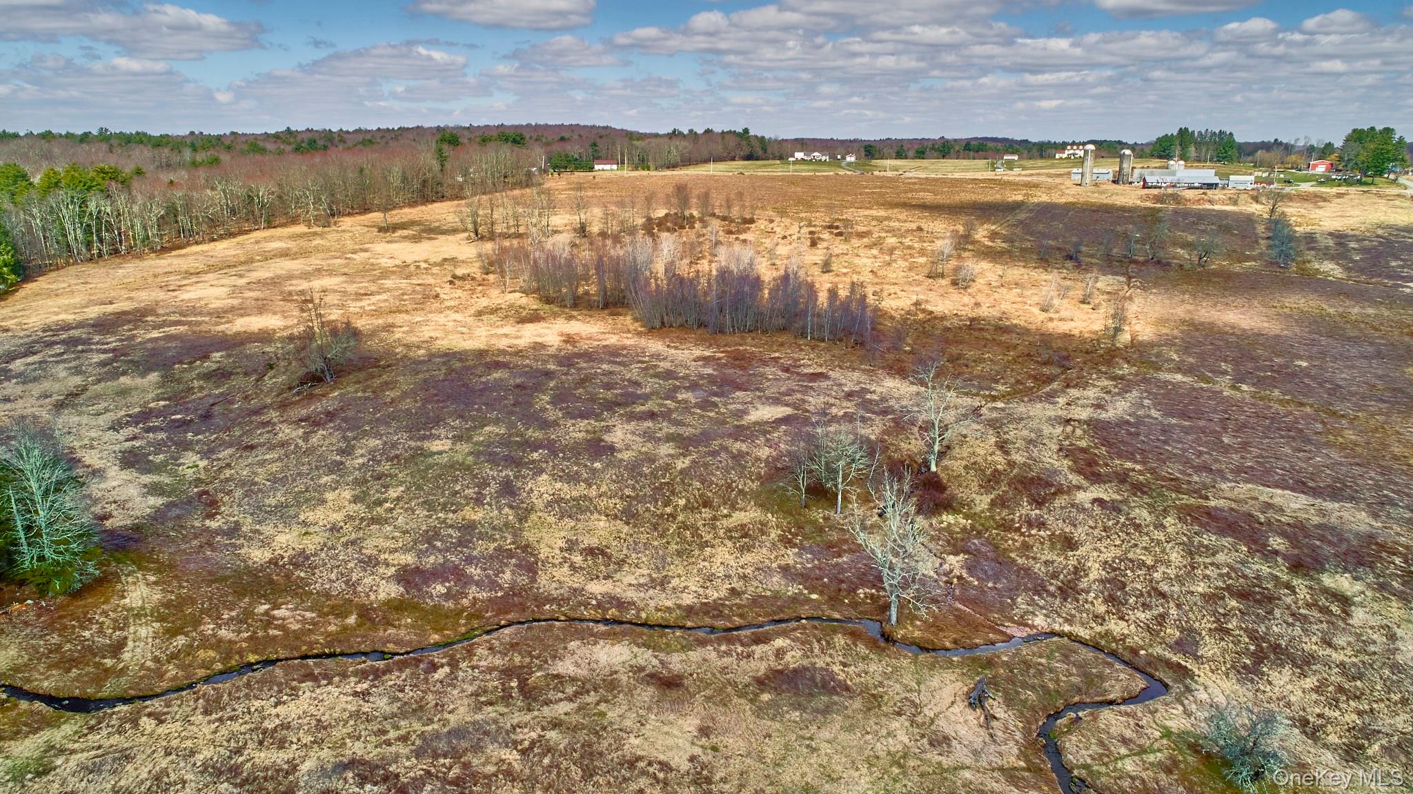 #11 photo, Lot 17.9 Shortcut Road, Cochecton , NY 12726