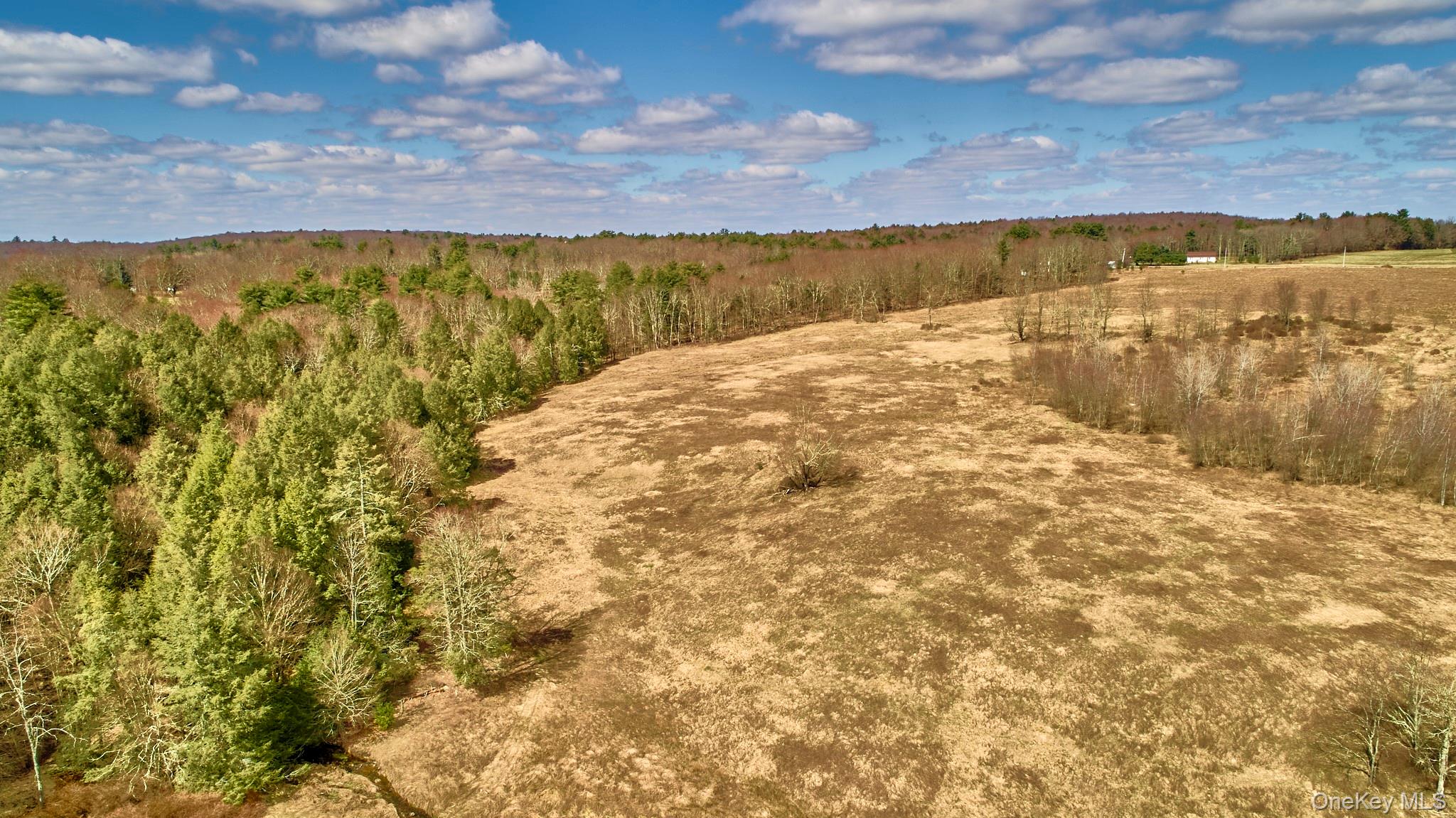 #14 photo, Lot 17.9 Shortcut Road, Cochecton , NY 12726