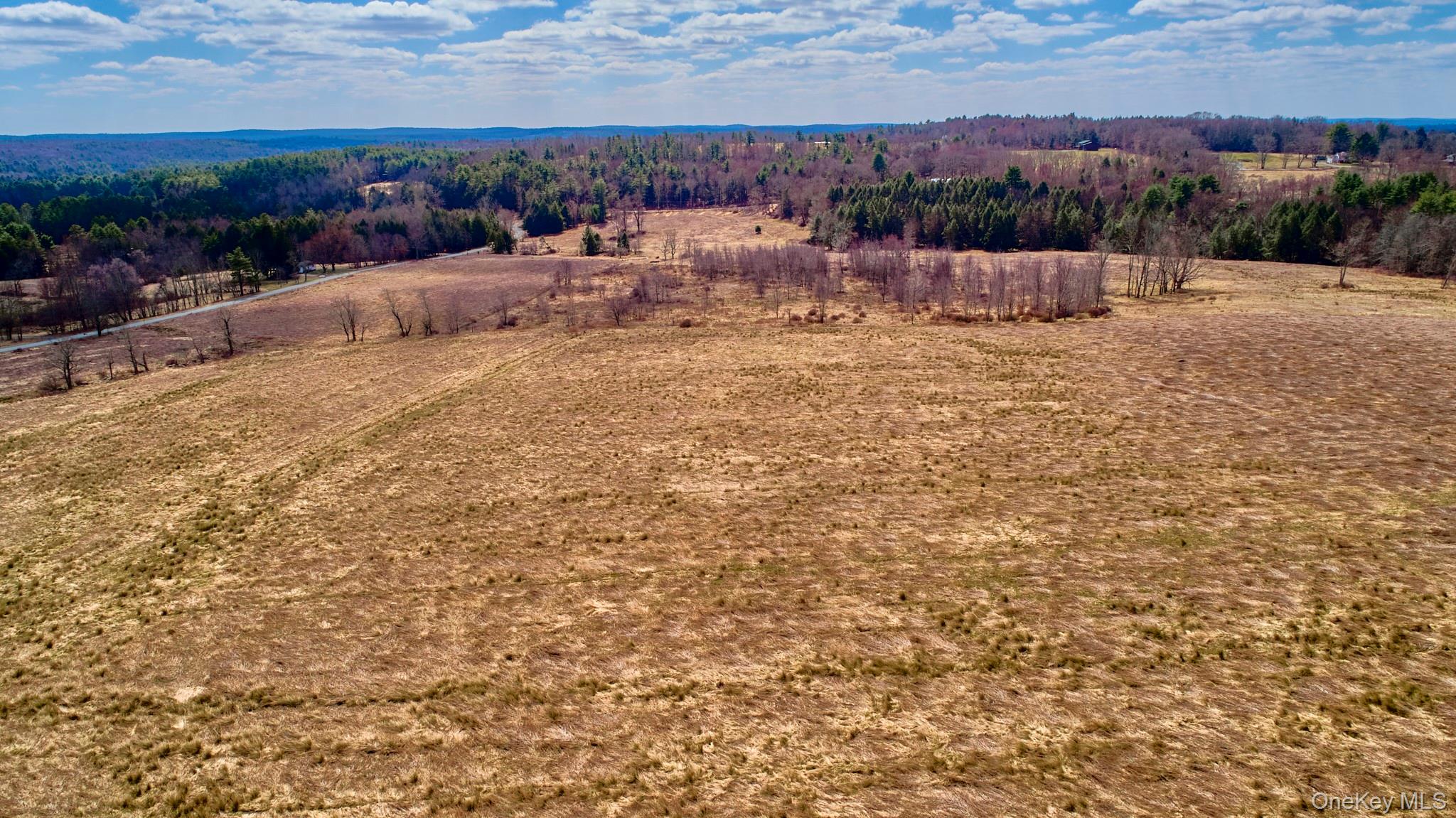 #15 photo, Lot 17.9 Shortcut Road, Cochecton , NY 12726