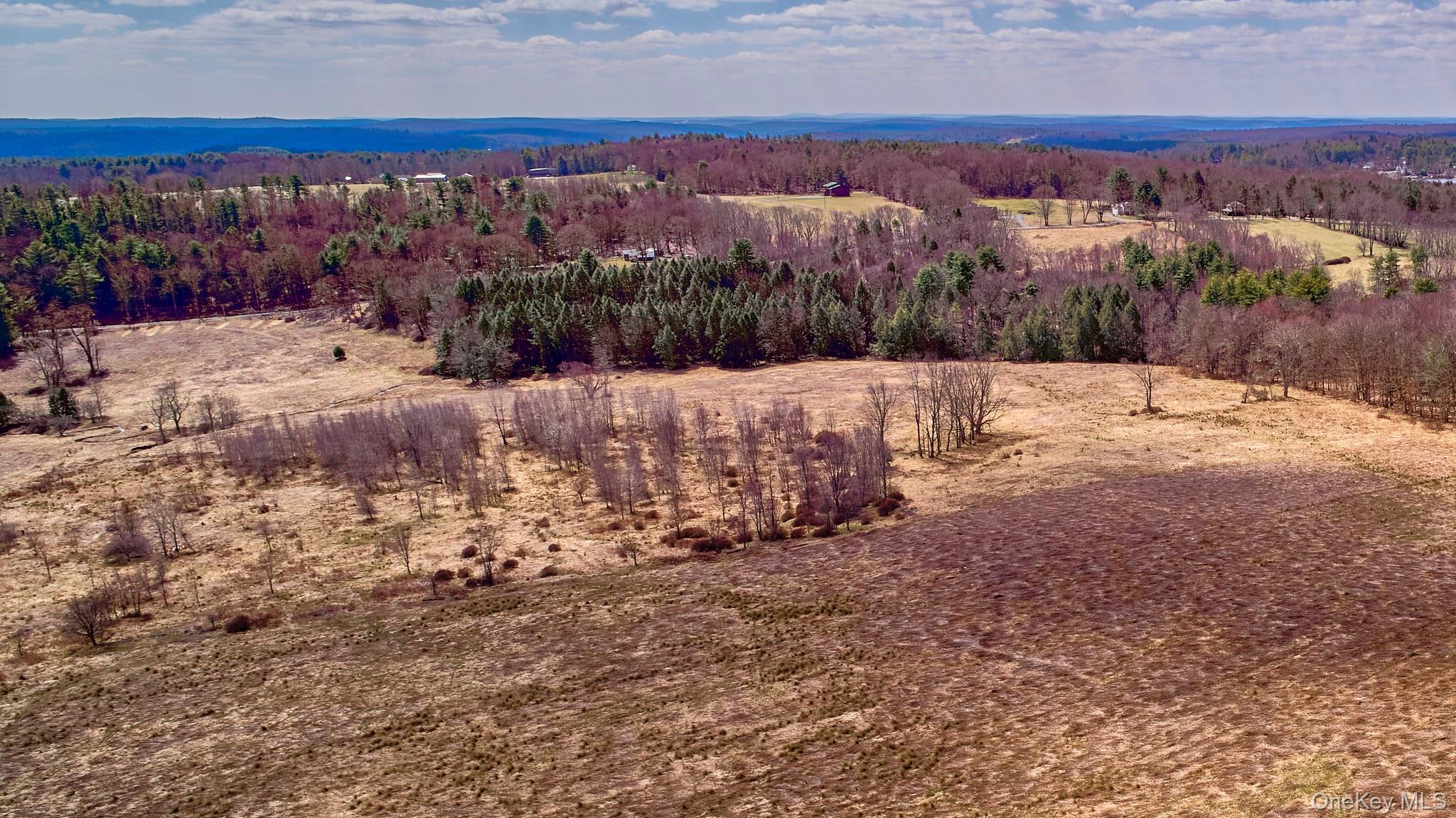 #16 photo, Lot 17.9 Shortcut Road, Cochecton , NY 12726