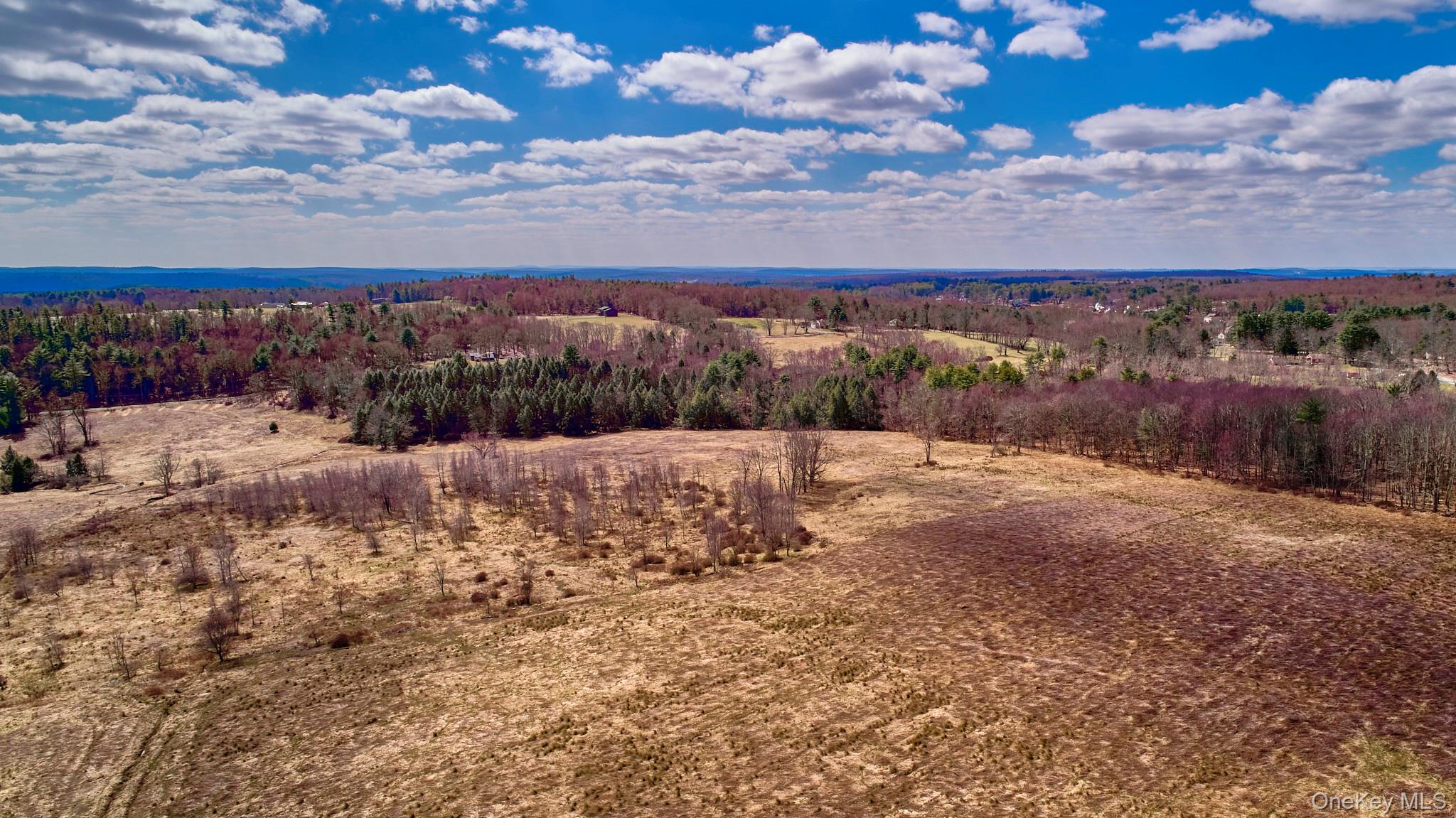 #17 photo, Lot 17.9 Shortcut Road, Cochecton , NY 12726