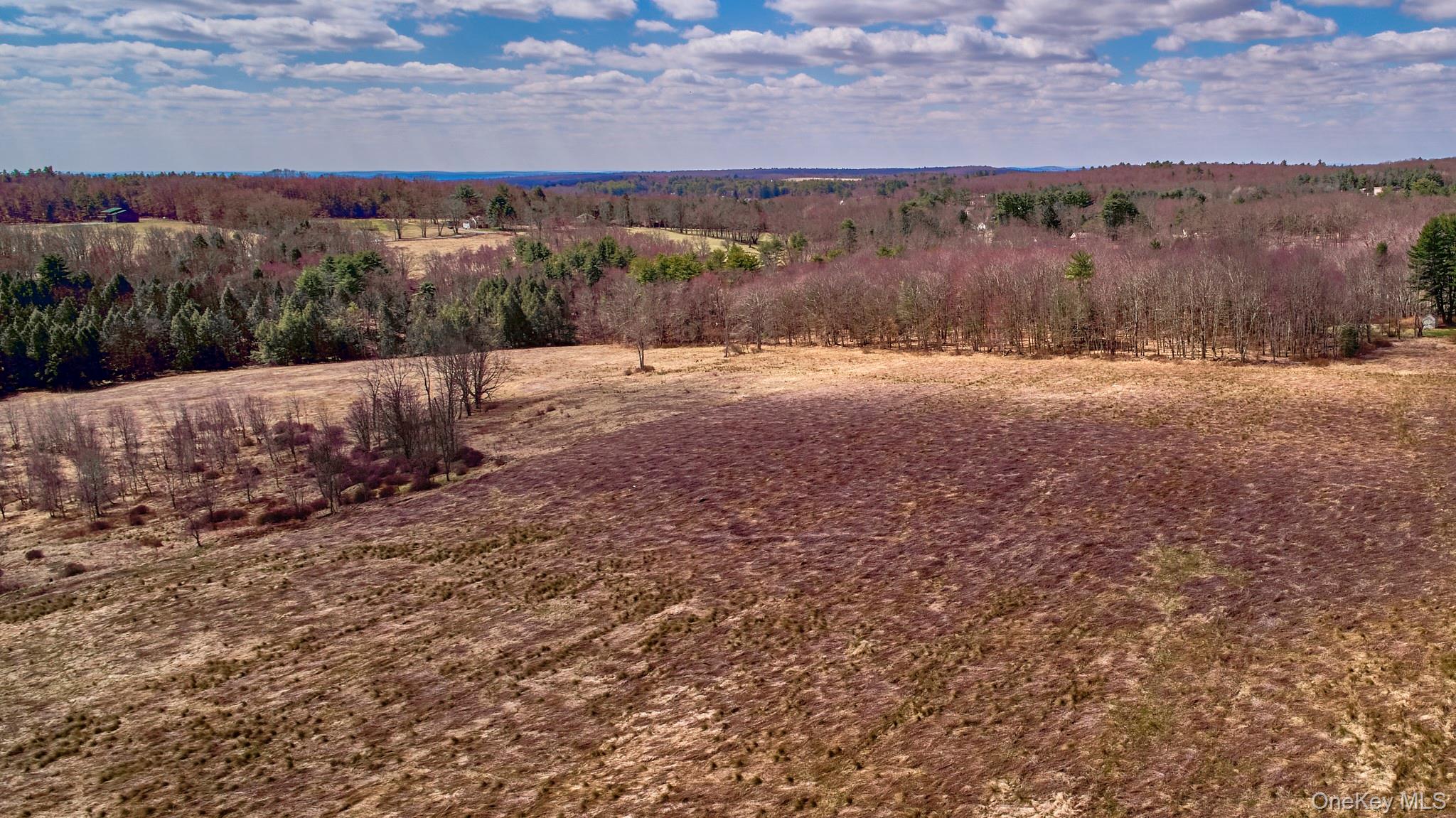 #18 photo, Lot 17.9 Shortcut Road, Cochecton , NY 12726