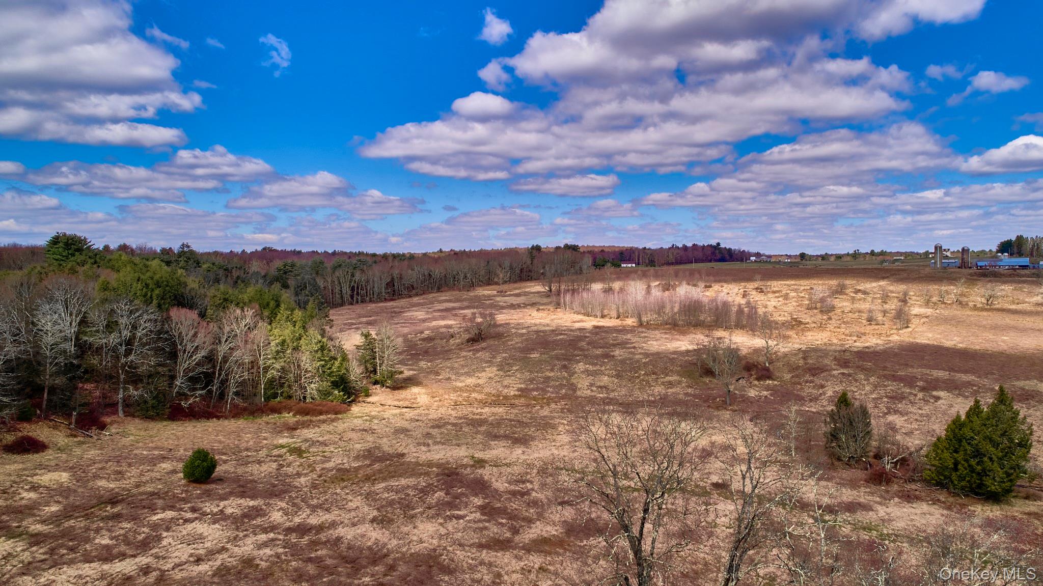 #6 photo, Lot 17.9 Shortcut Road, Cochecton , NY 12726