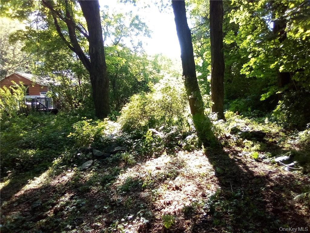 #6 photo, 71 Honeywell Lane, Hyde Park , NY 12538