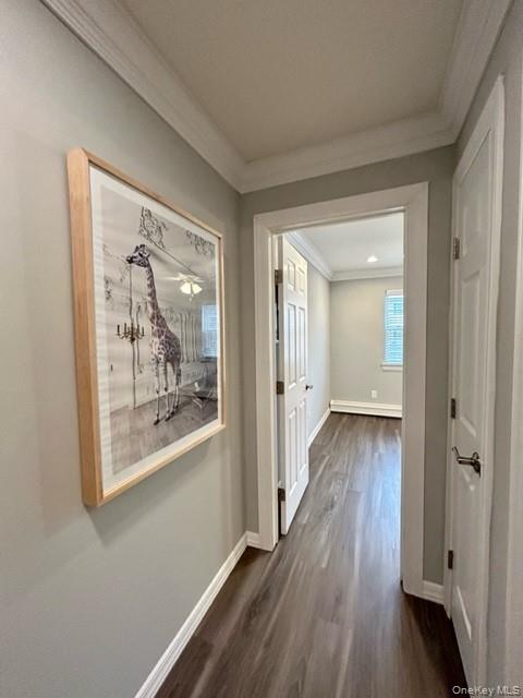 #6 photo, 197 Cassa Loop, Holtsville , NY 11742