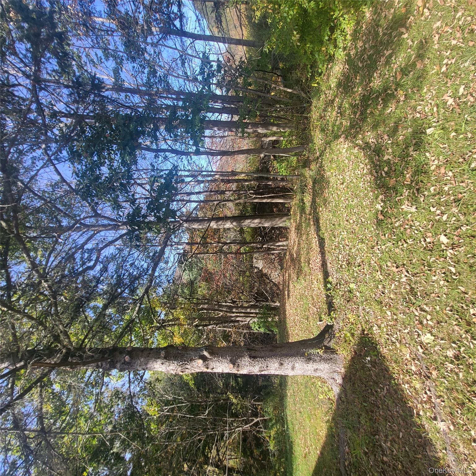 #15 photo, 37 Friendship Manor Road, Pine Hill , NY 12465