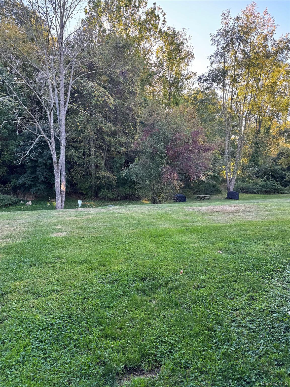 #16 photo, 313 Fox Run Lane, Carmel , NY 10512