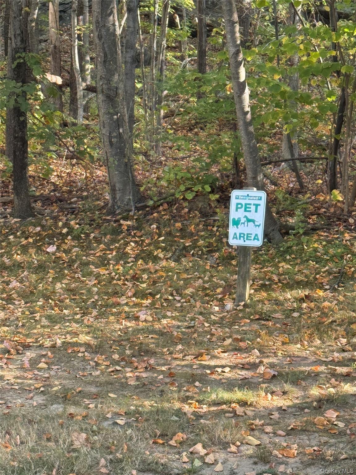 #20 photo, 313 Fox Run Lane, Carmel , NY 10512