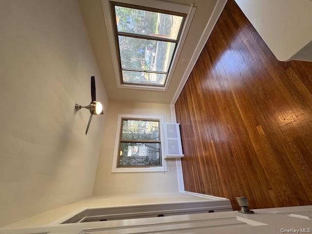 #8 photo, 39 Ward, Floral Park , NY 11001