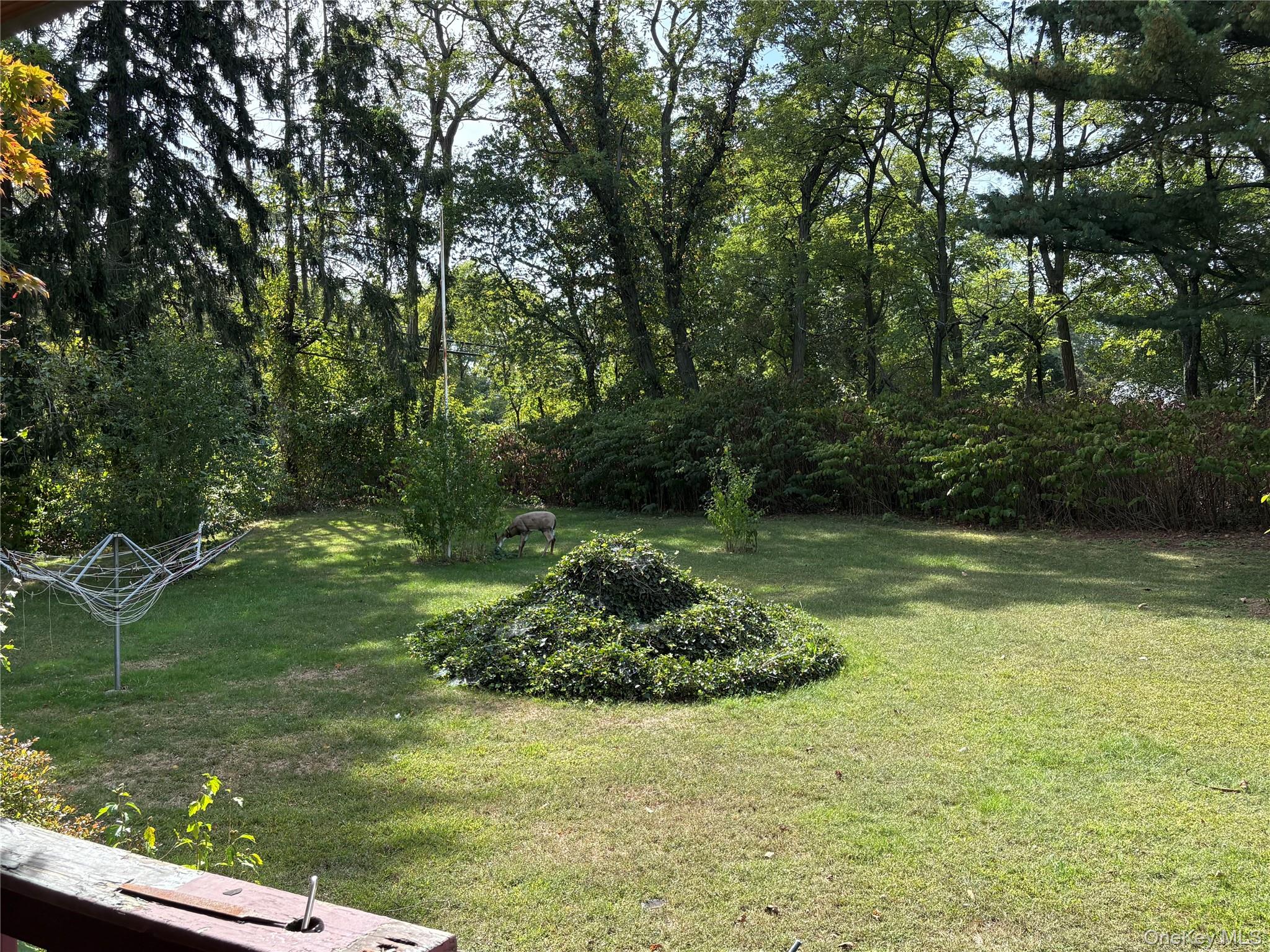 #3 photo, 2408 Pine Avenue, Ronkonkoma , NY 11779