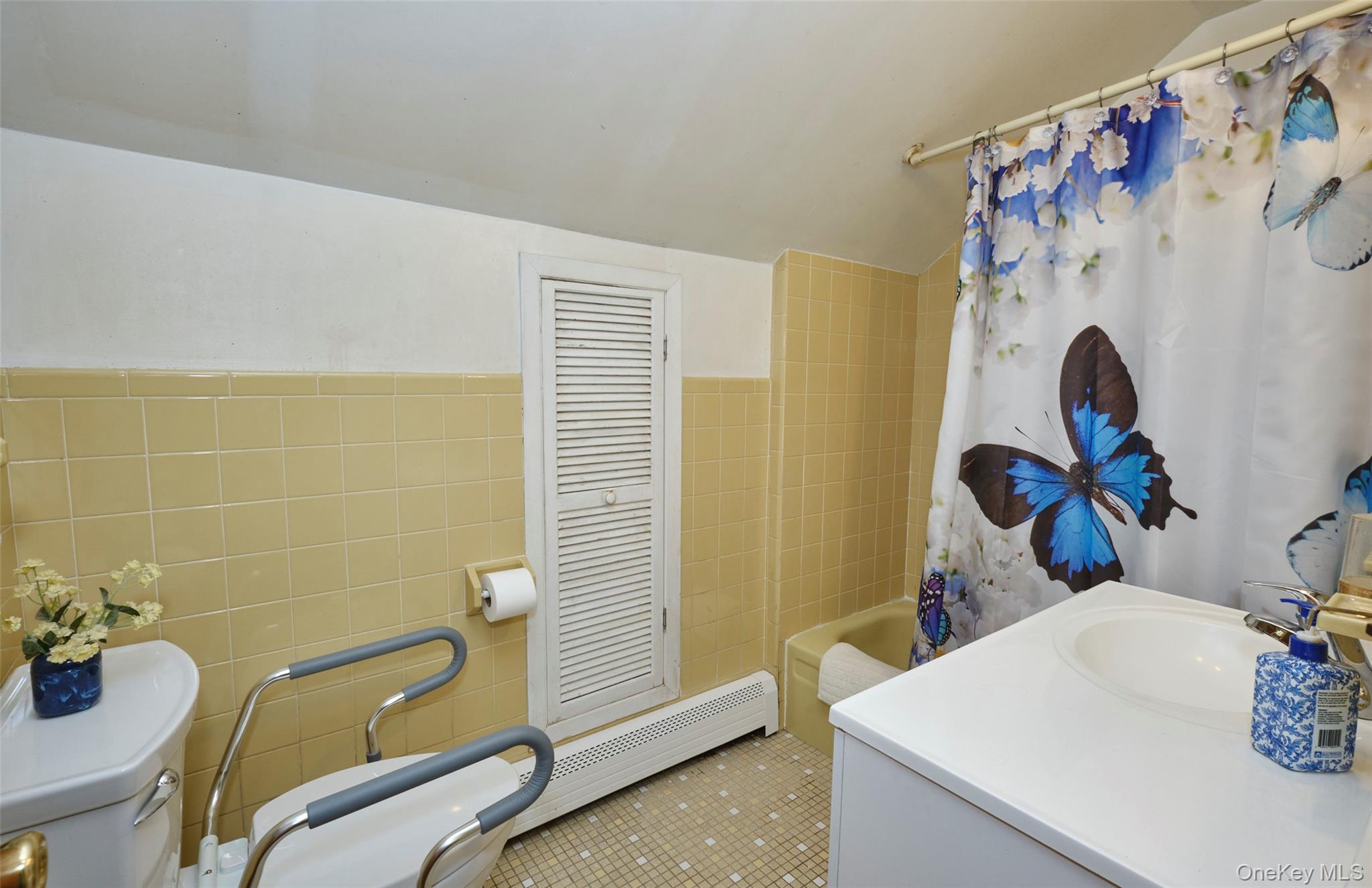 #19 photo, 911 Covert Avenue, New Hyde Park , NY 11040