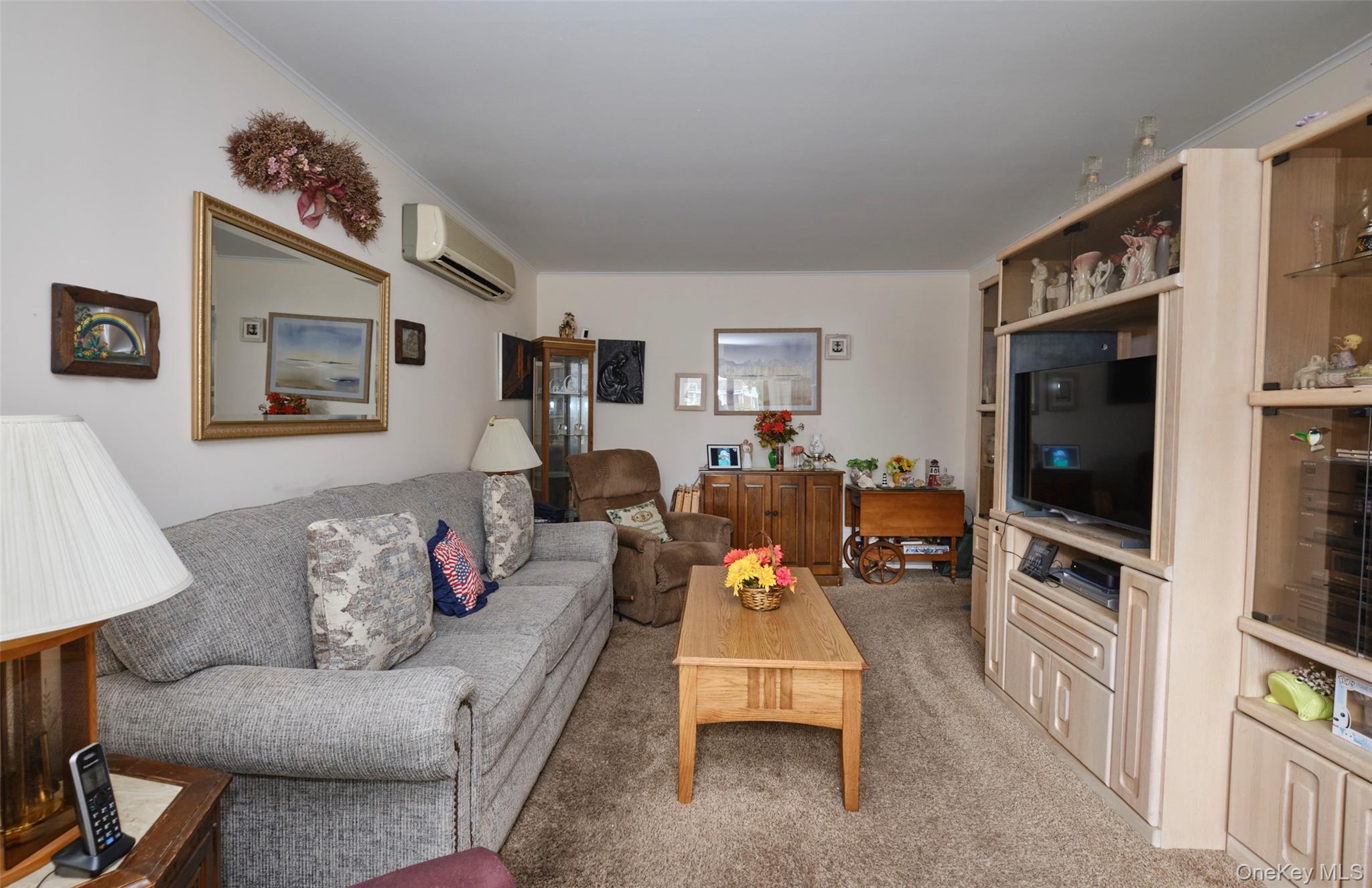 #6 photo, 911 Covert Avenue, New Hyde Park , NY 11040