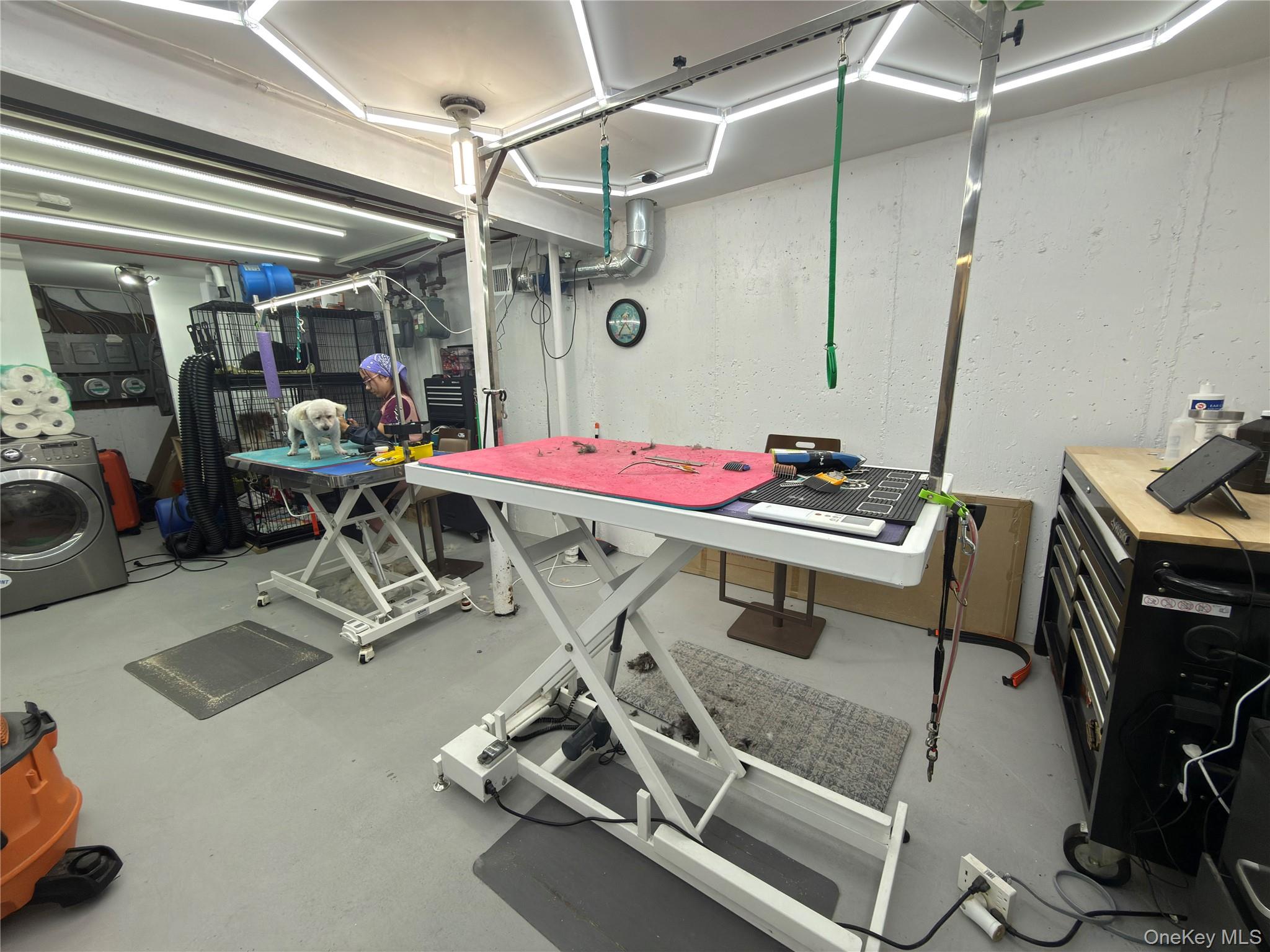 #4 photo, 86-31 Whitney Avenue, Elmhurst , NY 11373