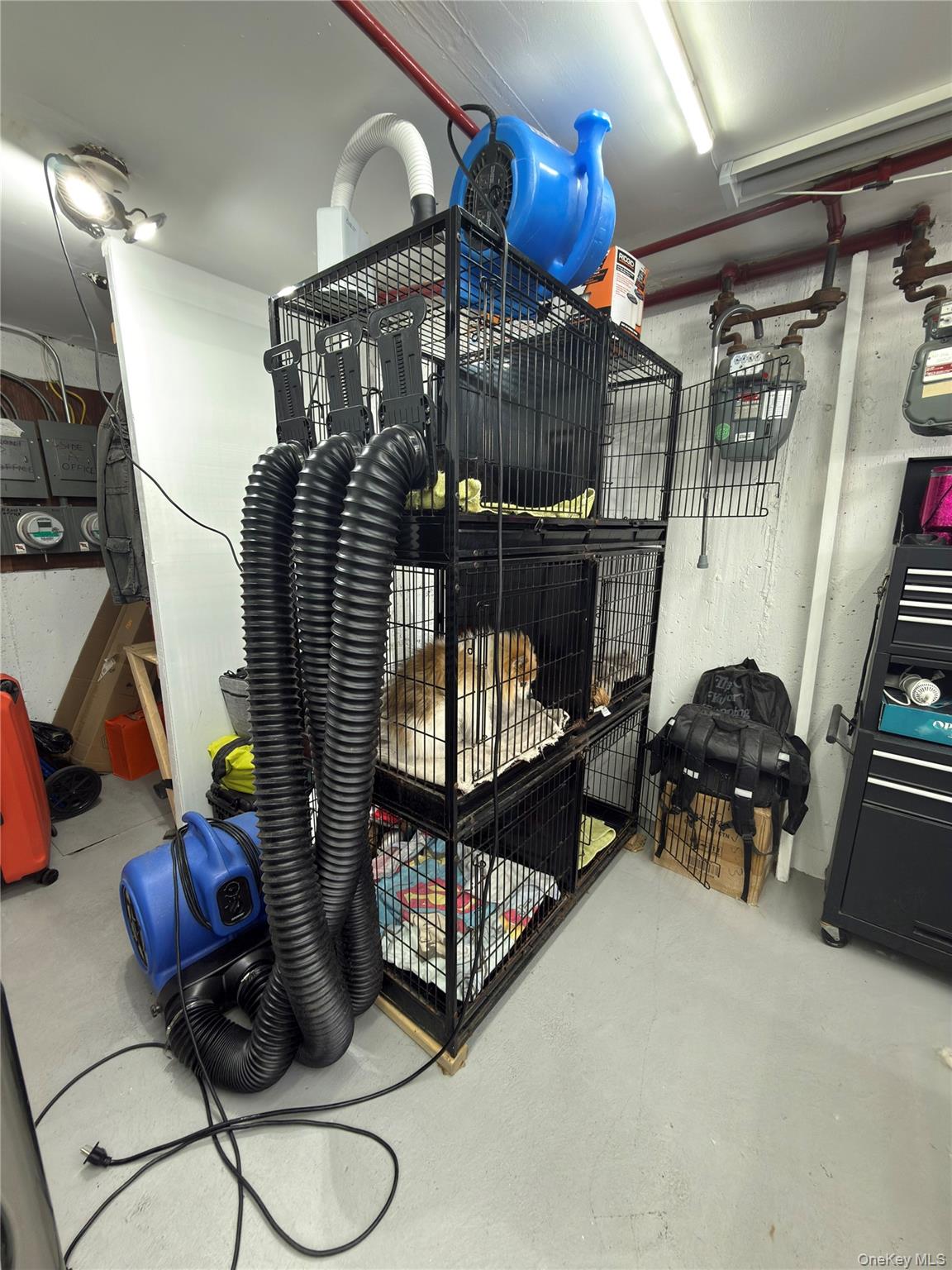 #9 photo, 86-31 Whitney Avenue, Elmhurst , NY 11373