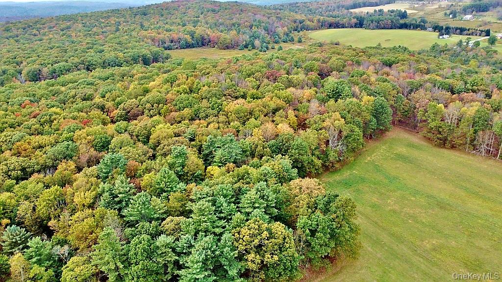 #8 photo, 000 Kautz Road, Callicoon , NY 12723