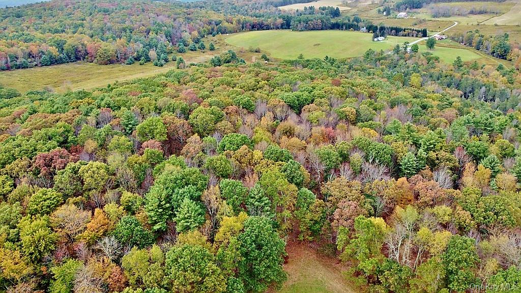 #9 photo, 000 Kautz Road, Callicoon , NY 12723