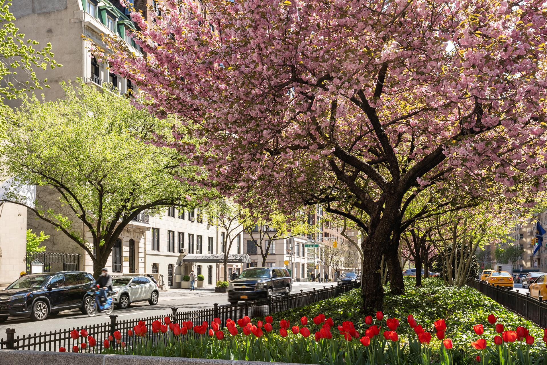 #13 photo, 71 PARK Avenue, マンハッタン Murray Hill , NY 10016