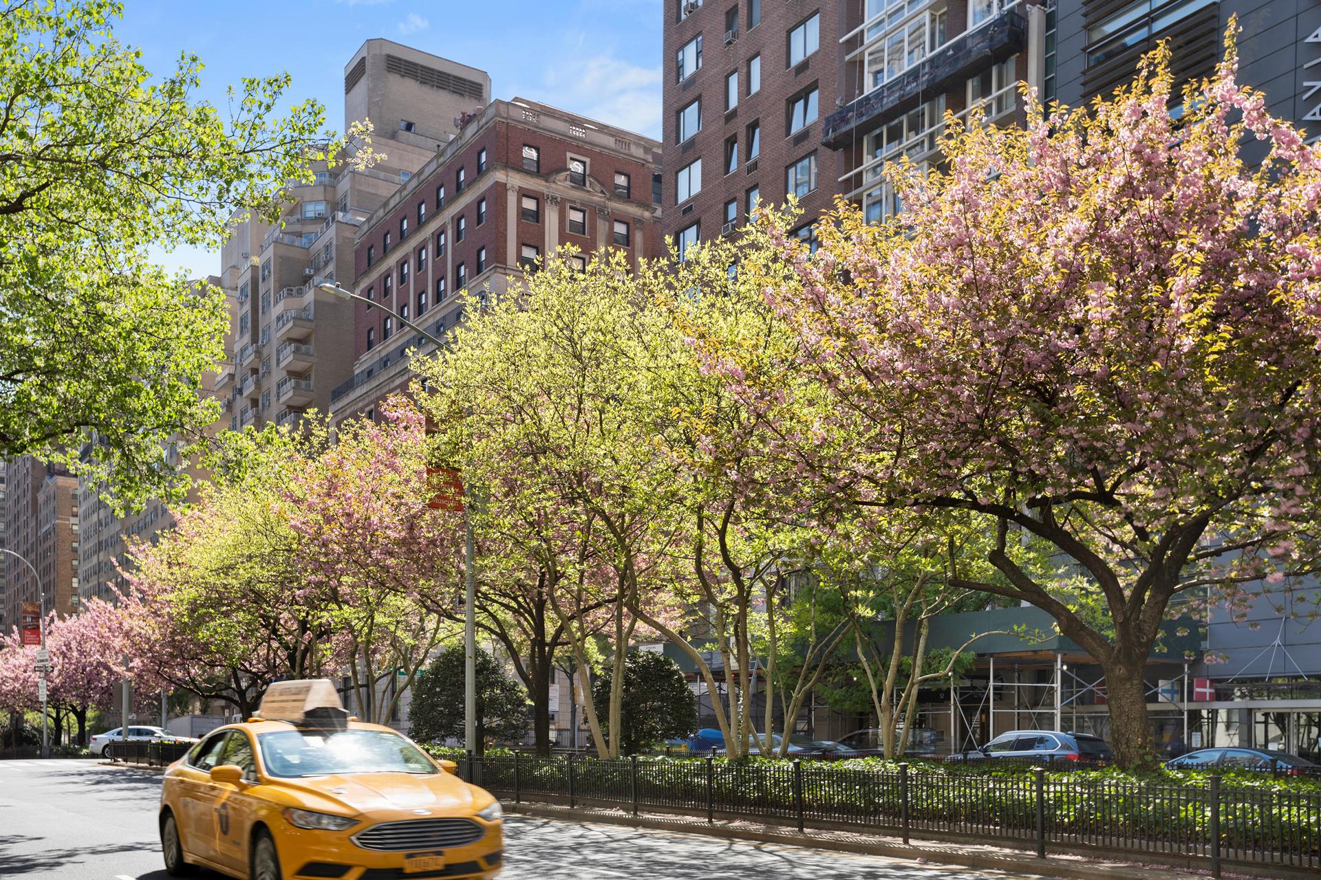 #7 photo, 71 PARK Avenue, マンハッタン Murray Hill , NY 10016