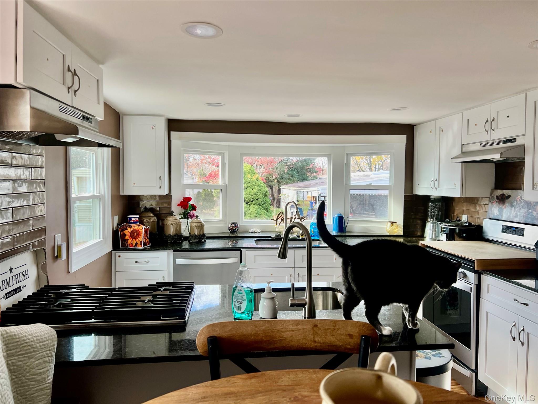 #2 photo, 59 Betsy Ross Drive, Bohemia , NY 11716