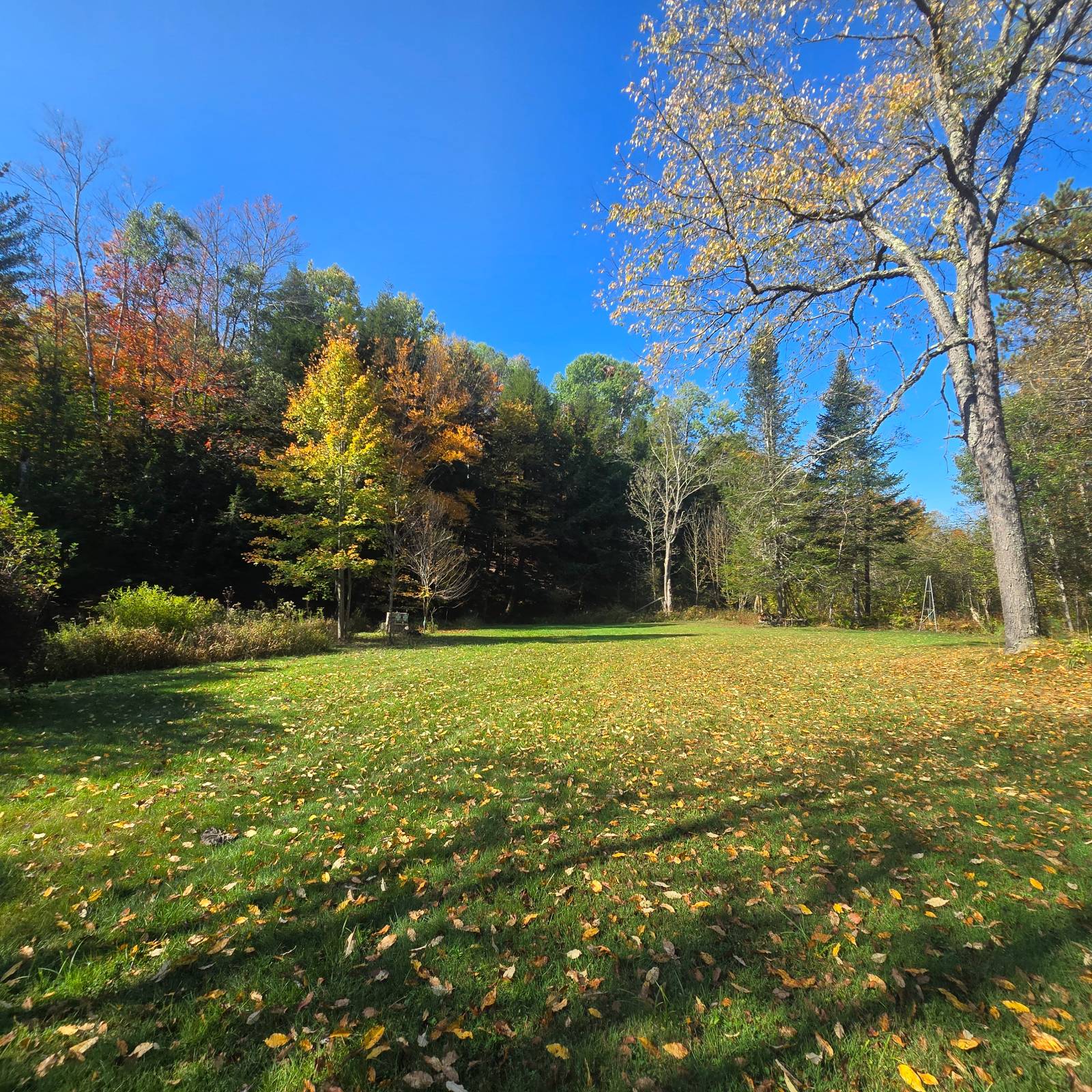 #11 photo, 7876 Woodcock Dr, Greig , NY 13345